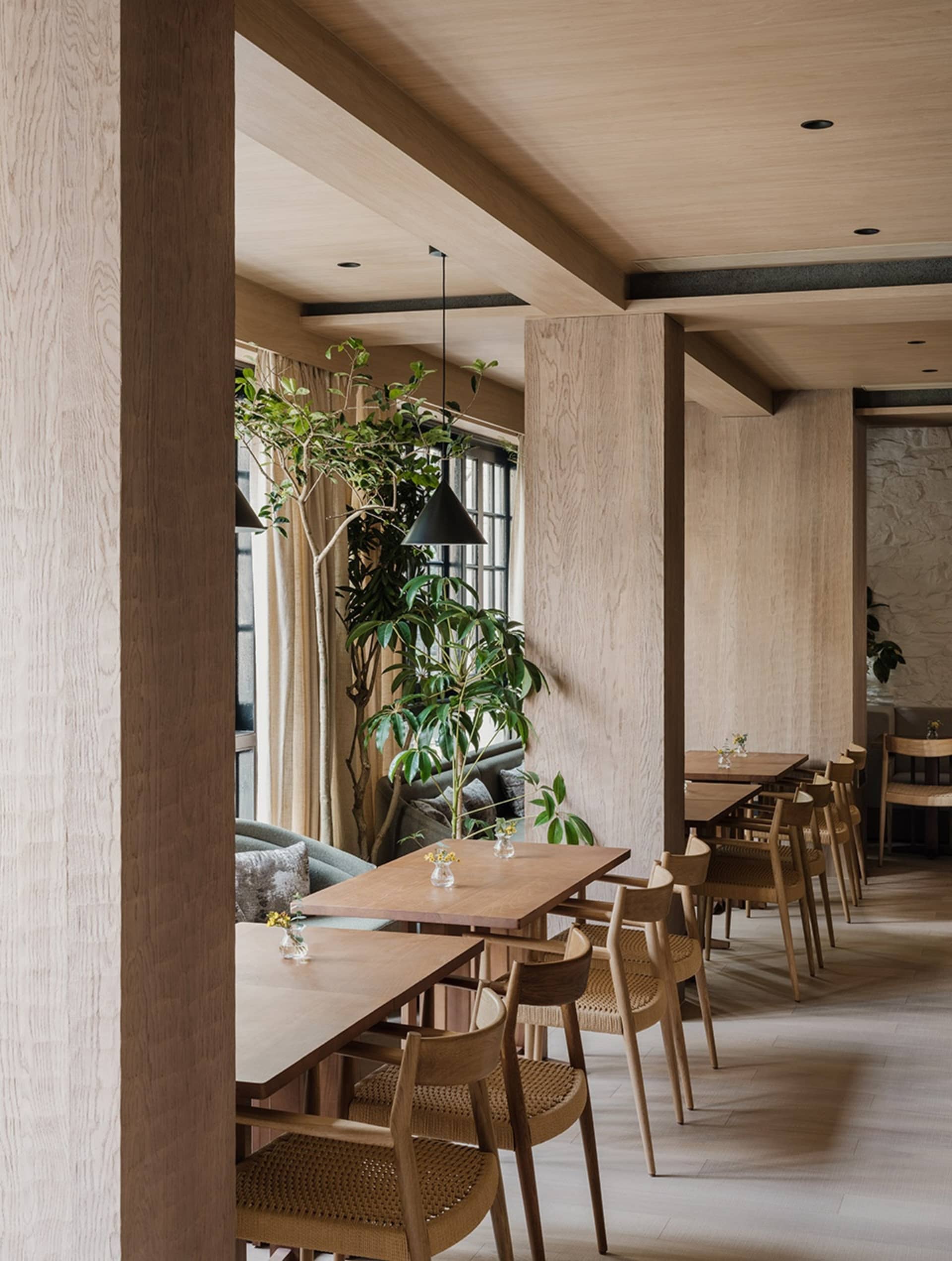 A modern restaurant interior with wooden furniture, indoor plants, and minimalist decor.