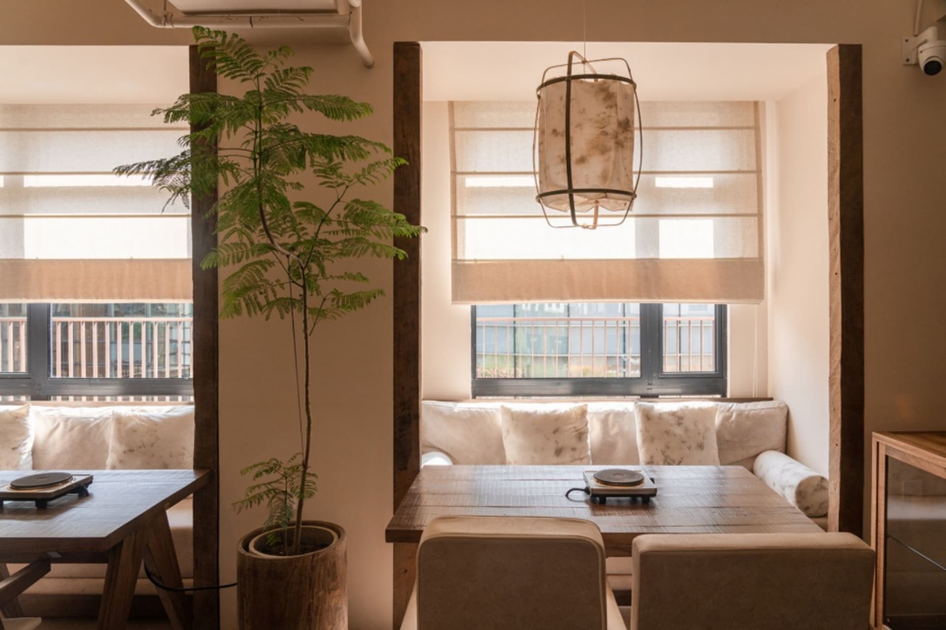 溫馨的餐廳室內空間，搭配木質家具、混搭材質以及盆栽植物。