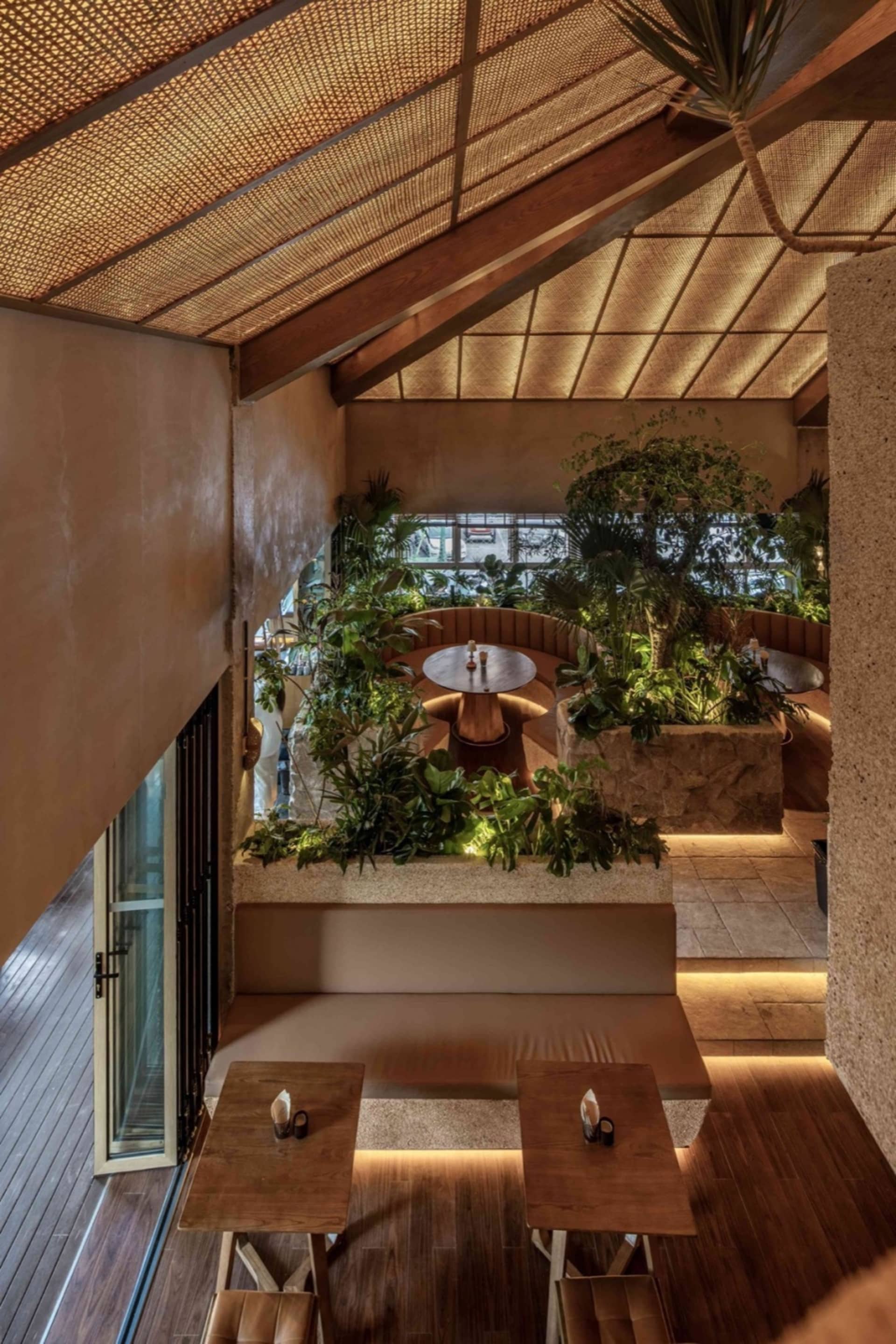 木質餐廳室內擺放綠色植物,營造舒適氛圍。