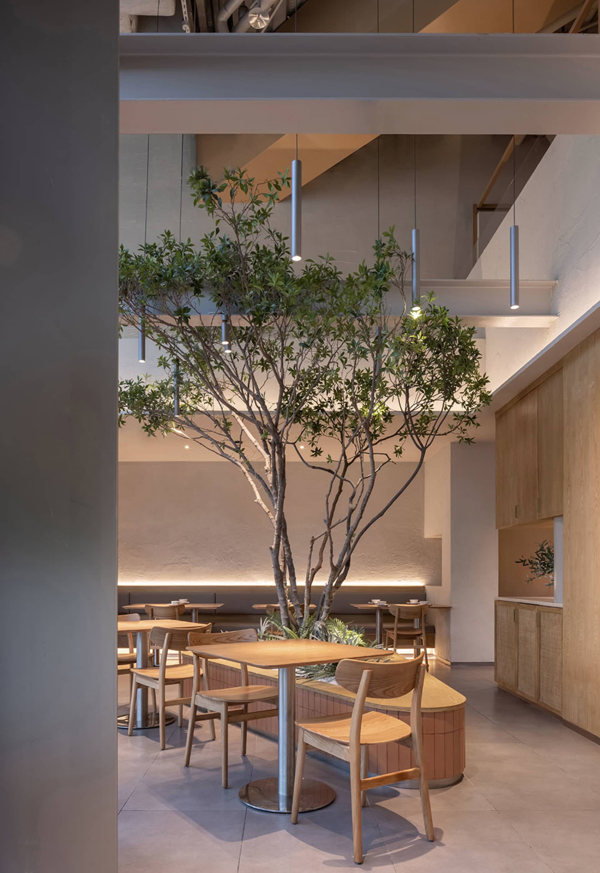現代餐廳室內空間，陳設木質餐桌、餐椅與盆栽植物。