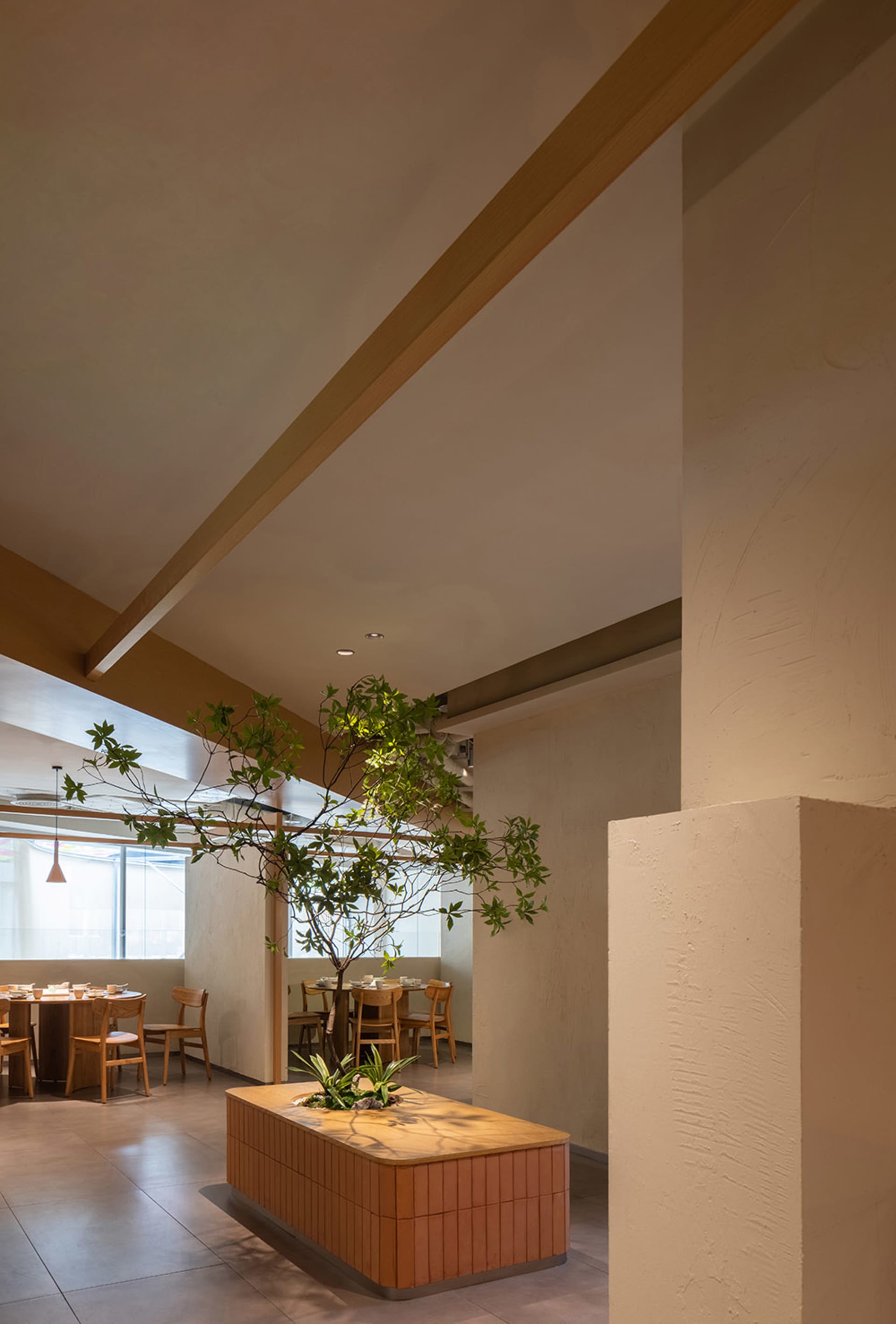 現代餐廳室內擺放木製桌椅、混凝土地板，中央種植一棵活樹，展現俐落簡約風格