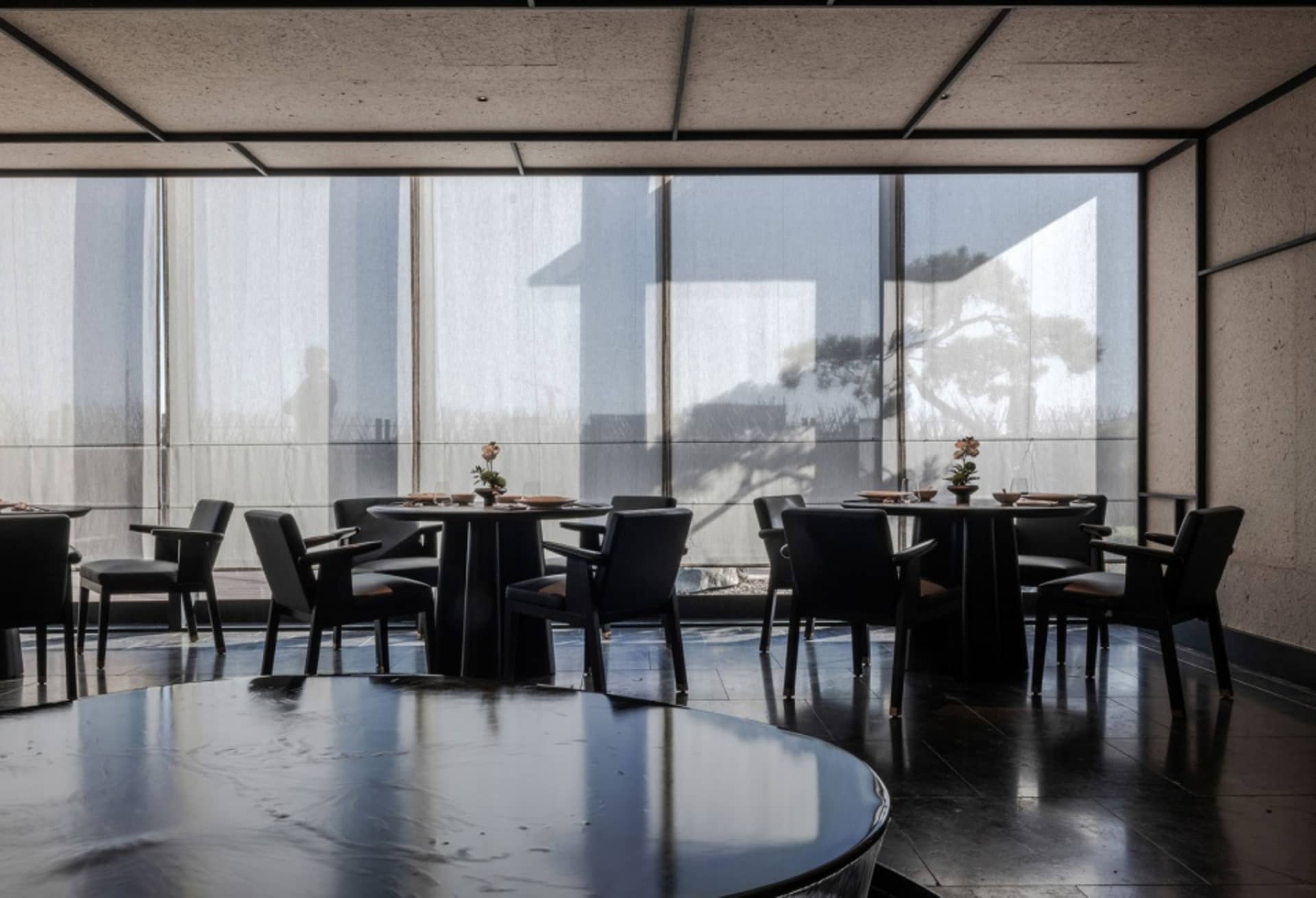 A modern restaurant interior with black tables, chairs, and floor, large windows with sheer curtains, and a view of a tree an