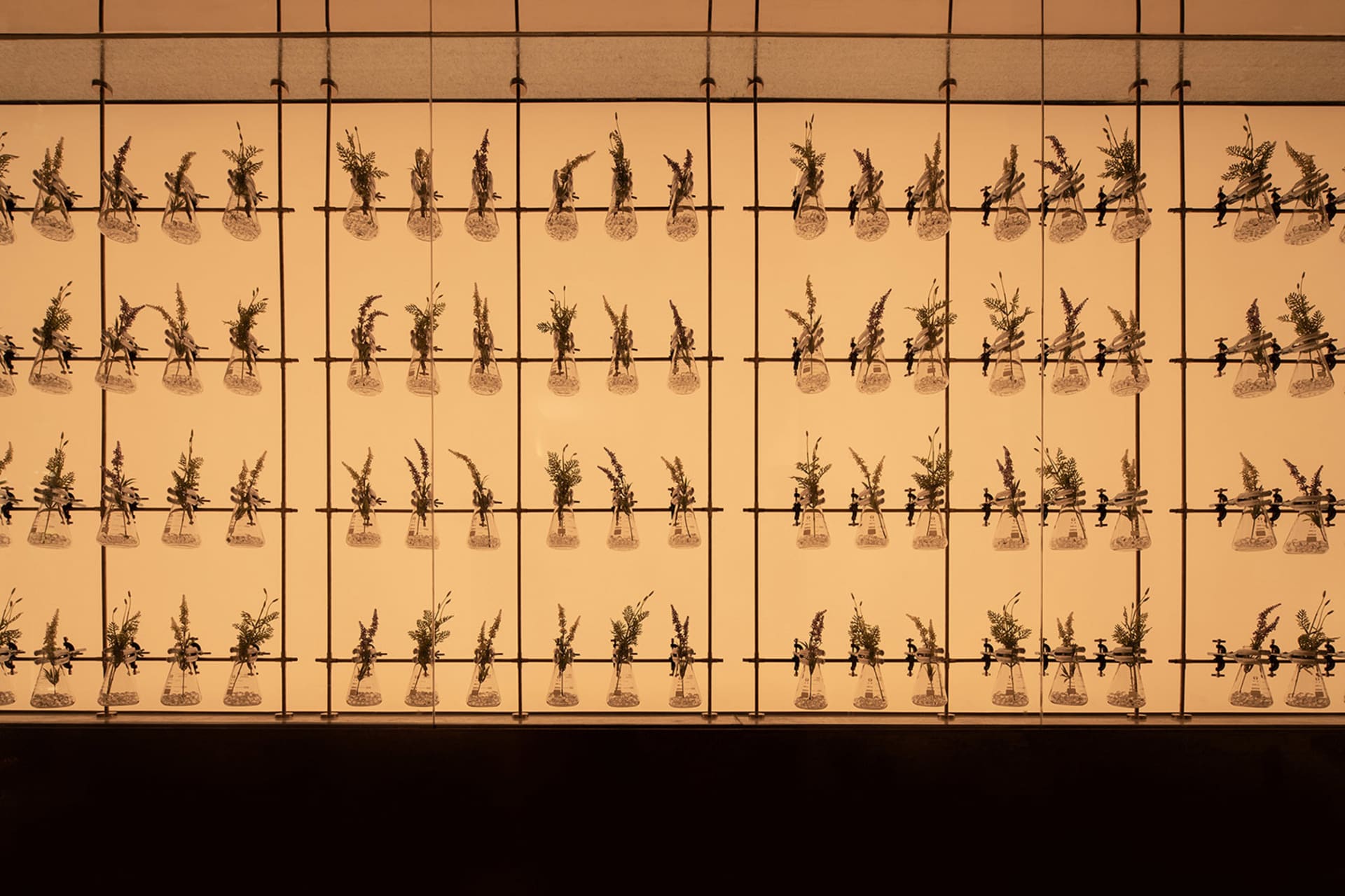 A modern industrial wall display featuring suspended plants in glass beakers.