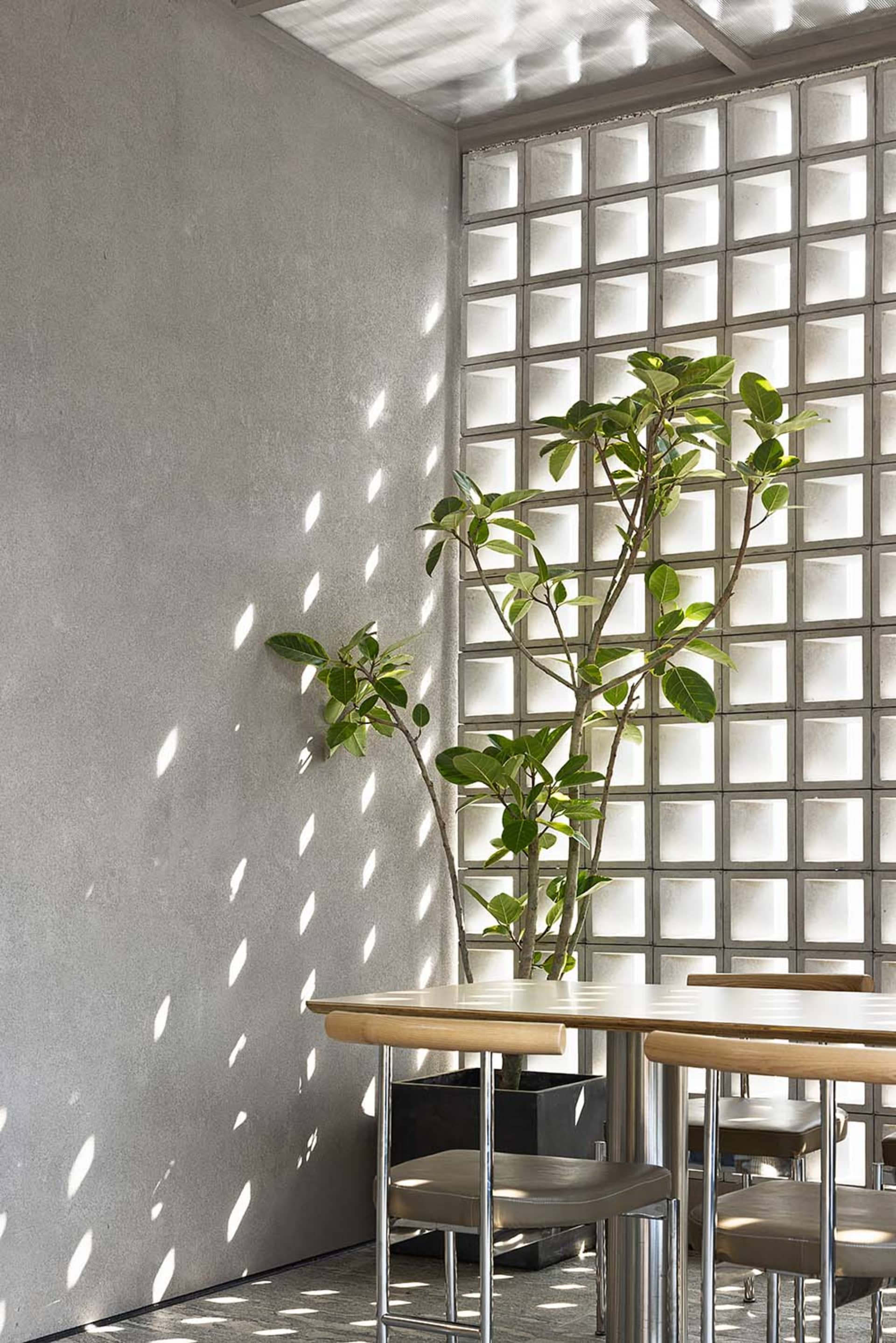 Modern restaurant interior with concrete walls and light filtering through a glass wall.