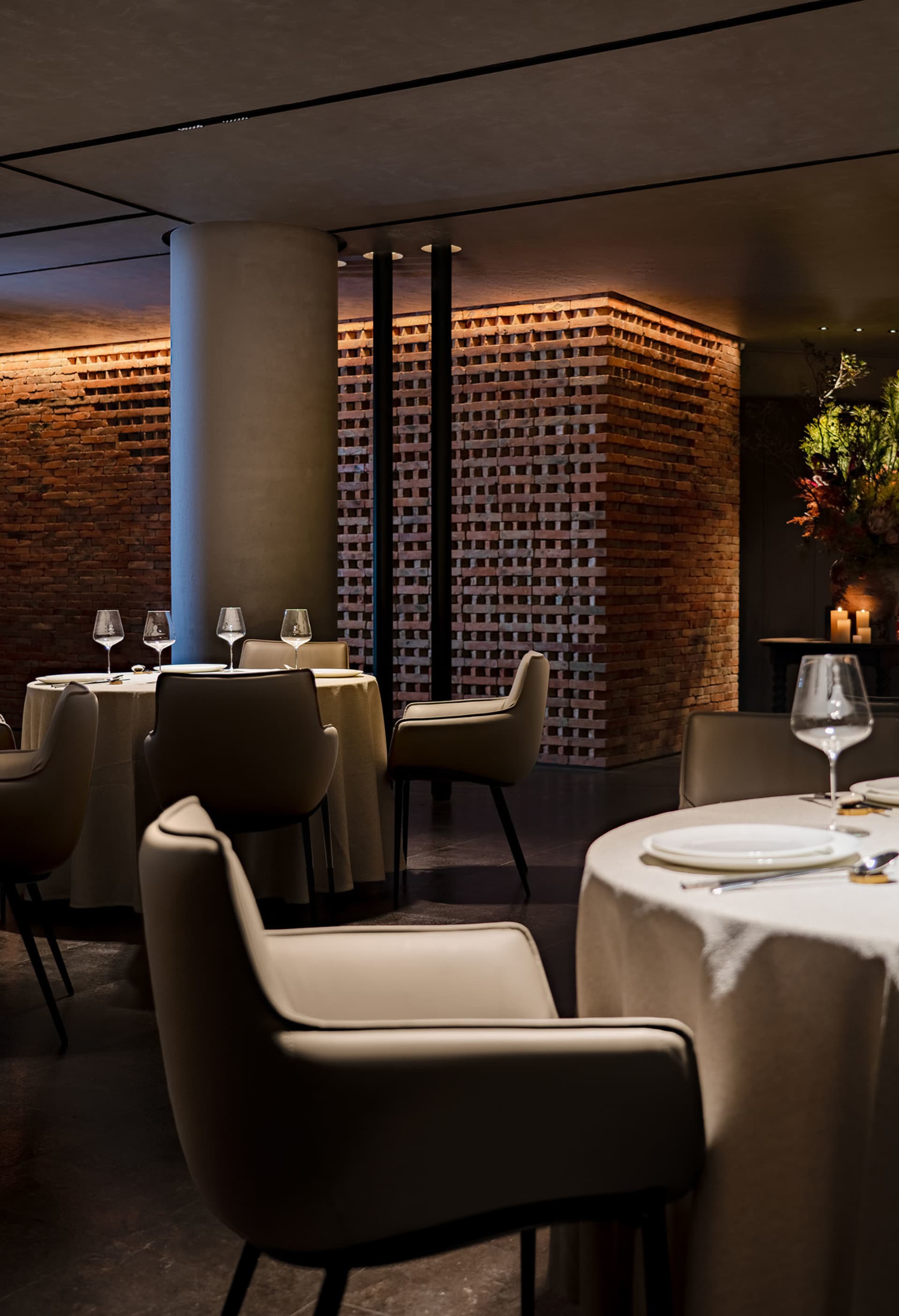 Elegant Dining Collection 1