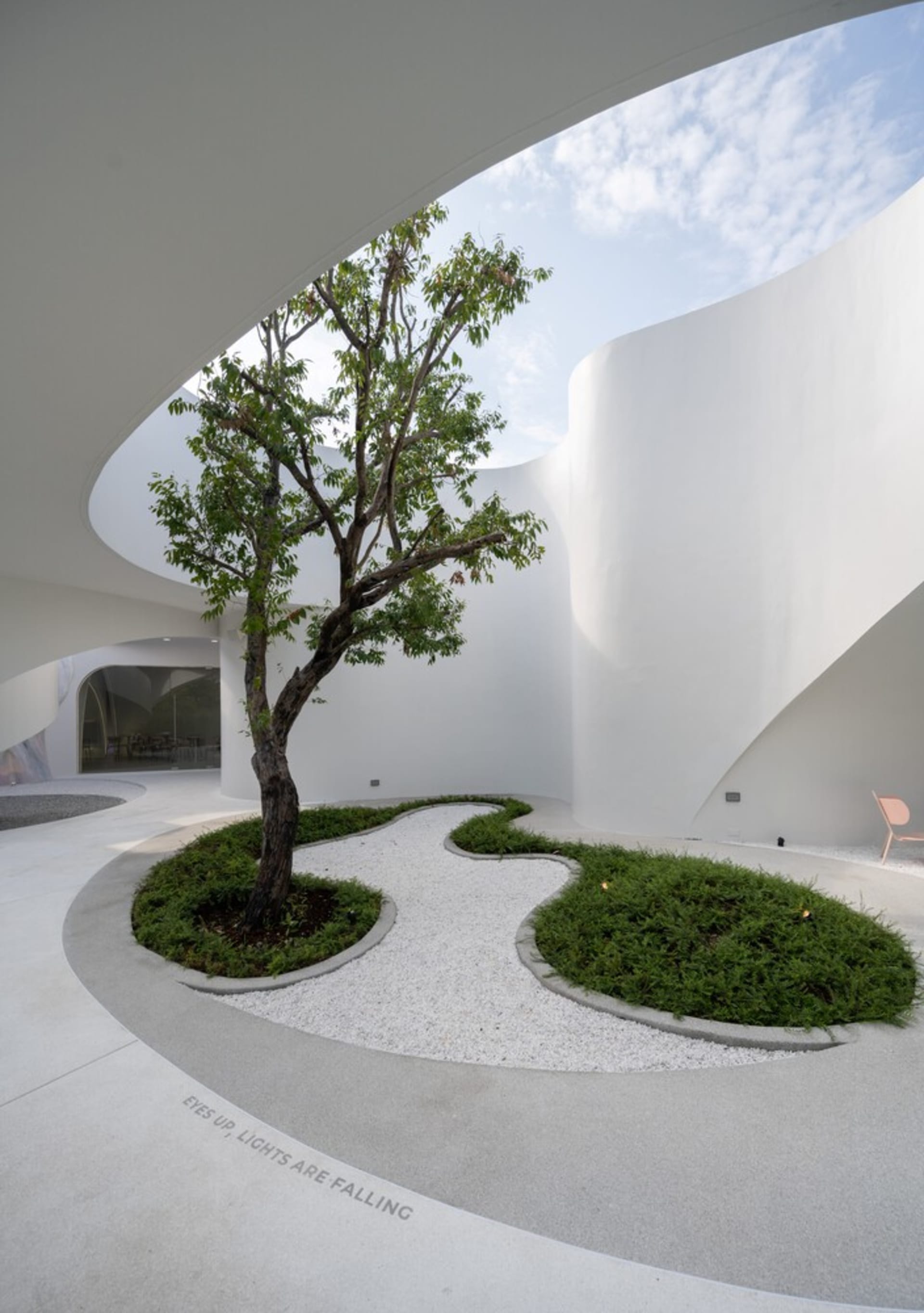 A modern, minimalist white interior space featuring a central tree and a winding concrete path.