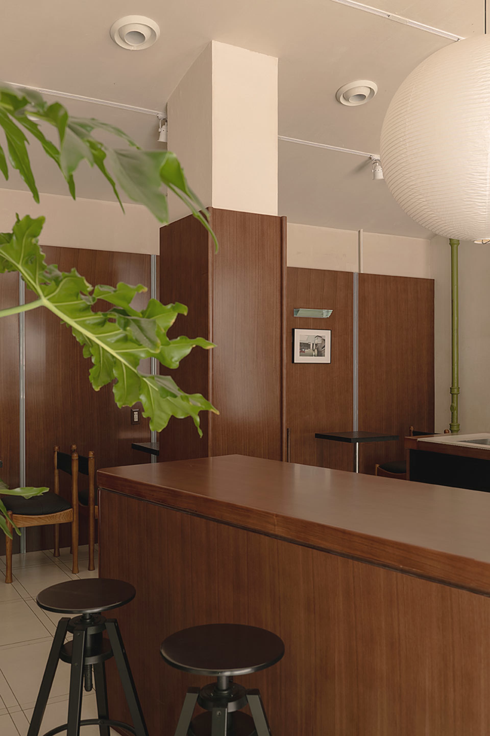 A modern coffee shop with a wooden counter, green plant, and greenery.