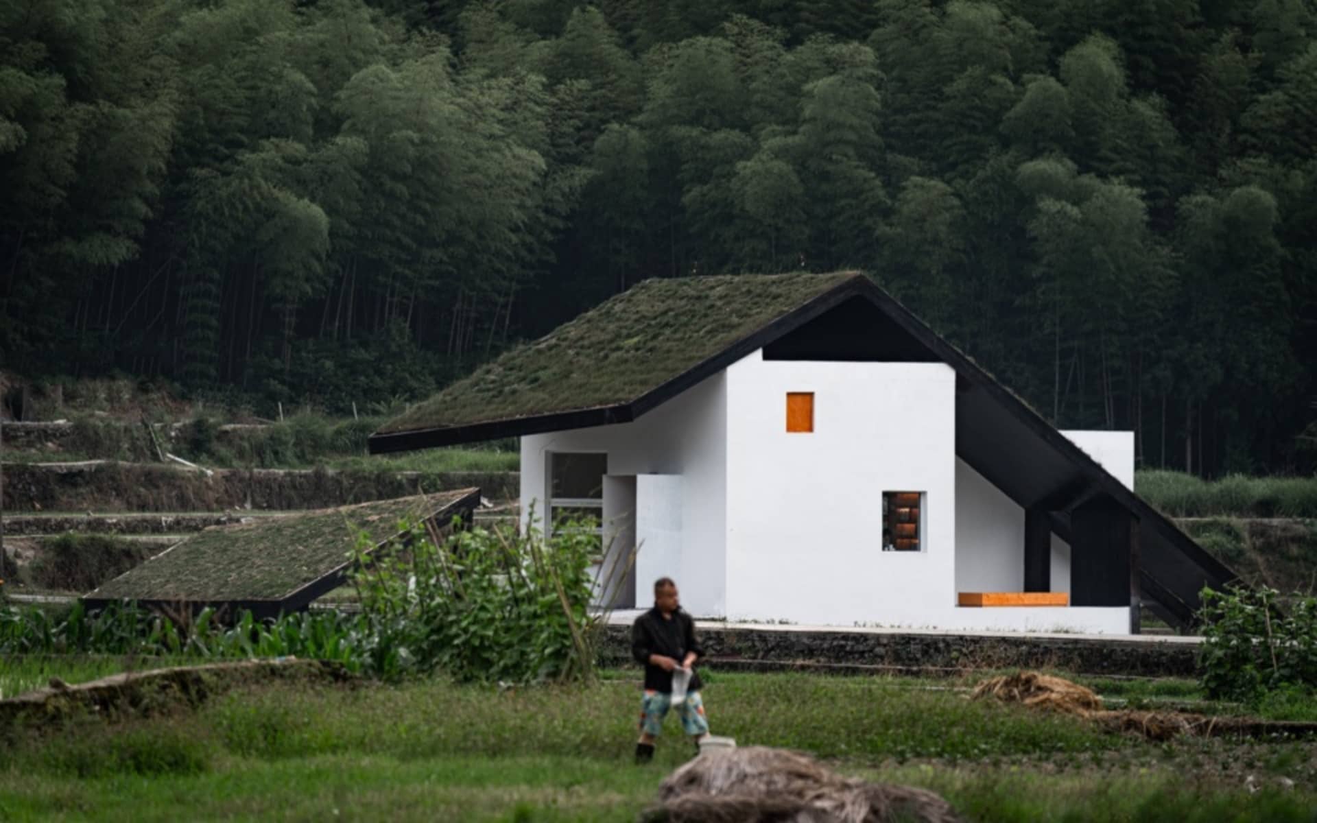 一座極簡建築，擁有混凝土牆面與玻璃屋頂，周圍環繞綠意。