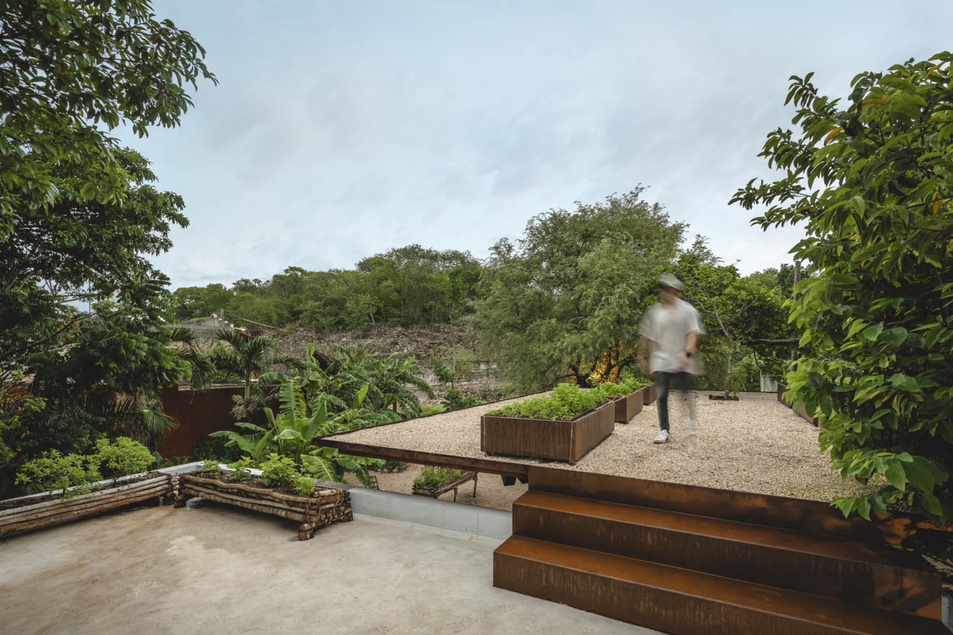 A rooftop terrace with metal planters surrounded by lush green jungle vegetation.