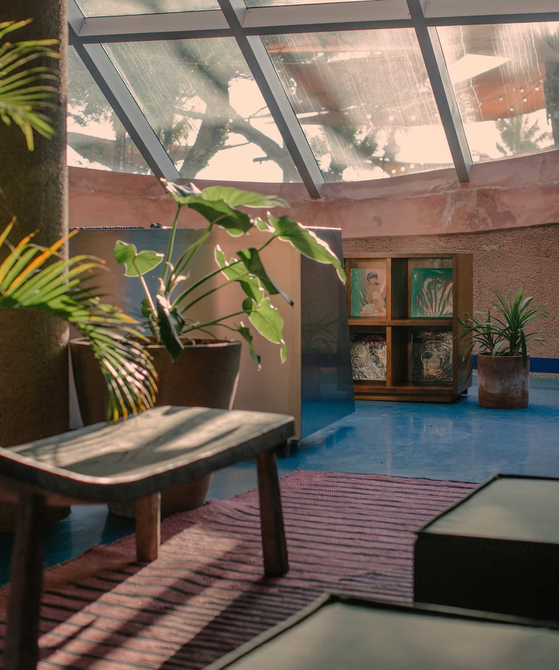 A modern living room with coconut leaves, wood, concrete, and glass materials.