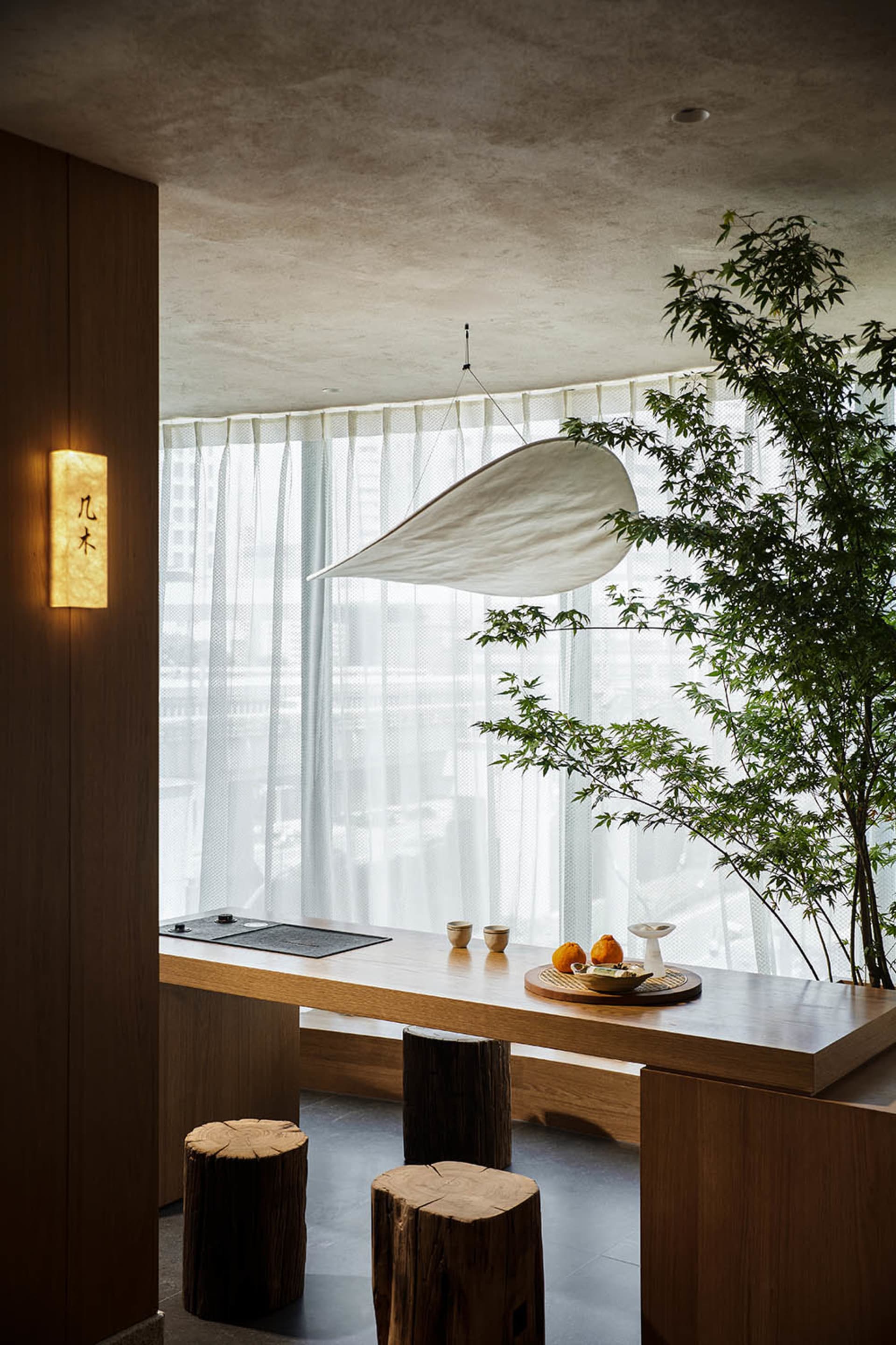 A modern restaurant interior featuring a wooden counter, concrete walls, and a large potted plant