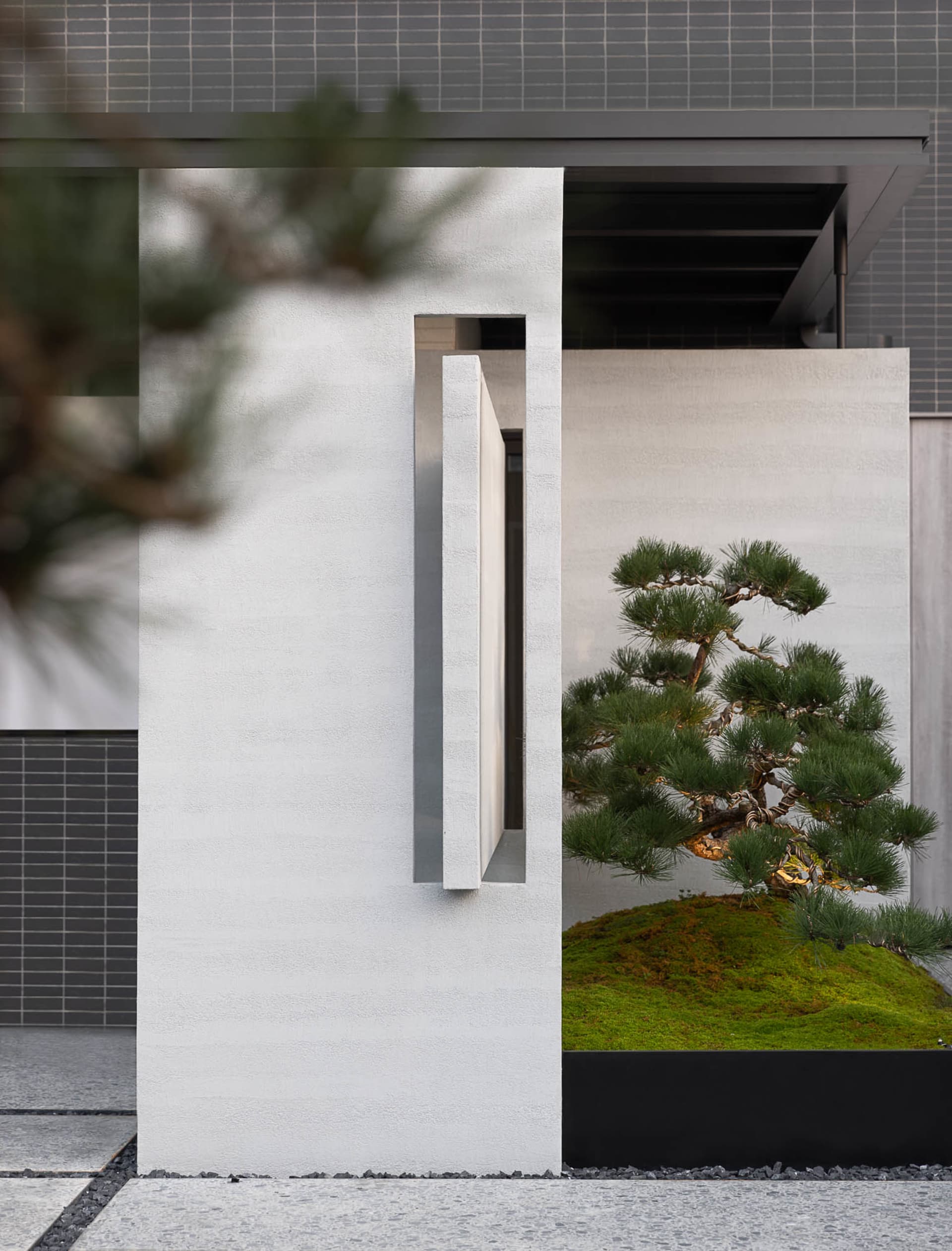 A modern minimalist outdoor space featuring concrete elements with a bonsai tree in a planter. Semicircular walls and curved