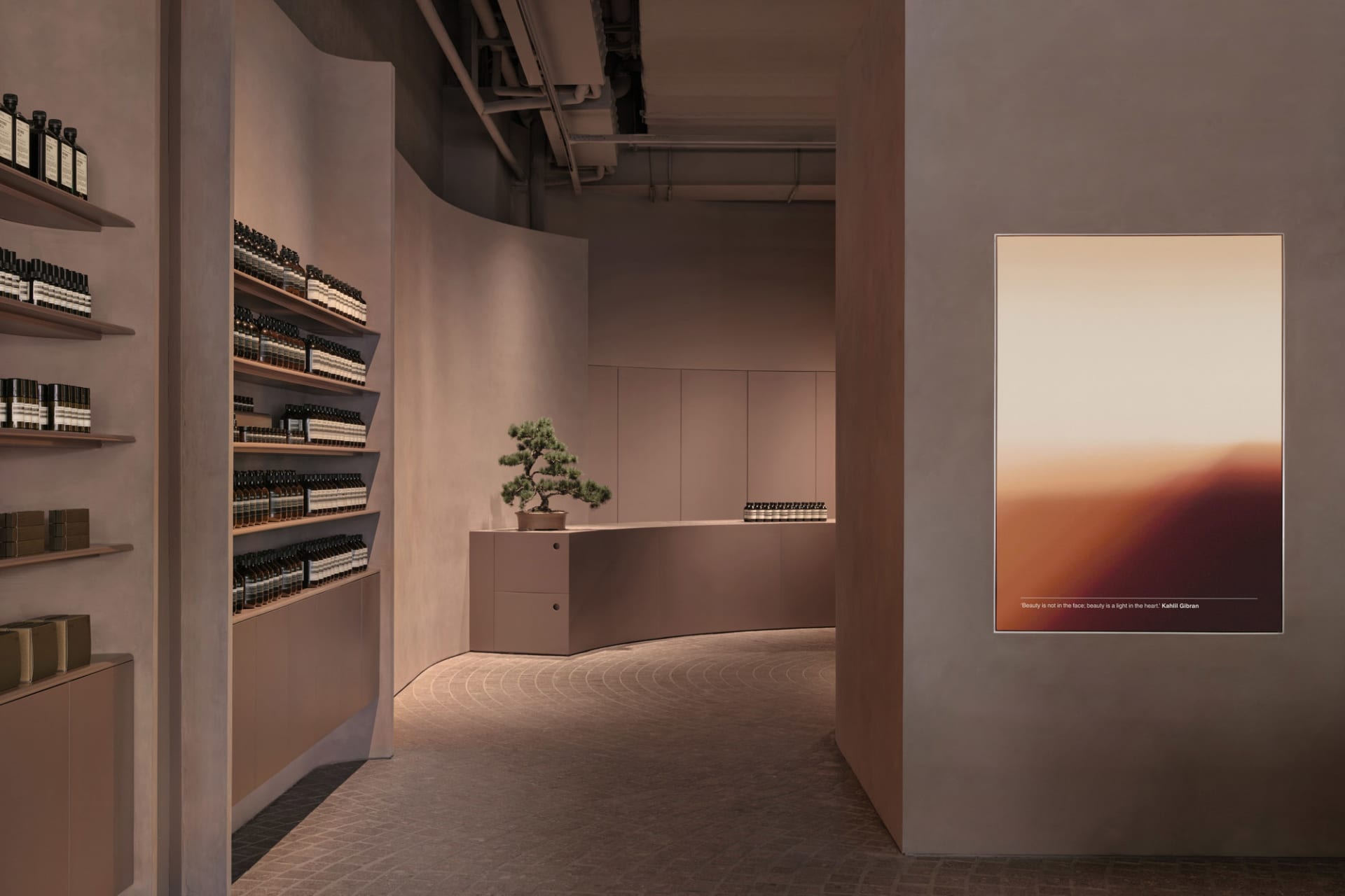 Modern retail shop featuring minimalist design and concrete interior.