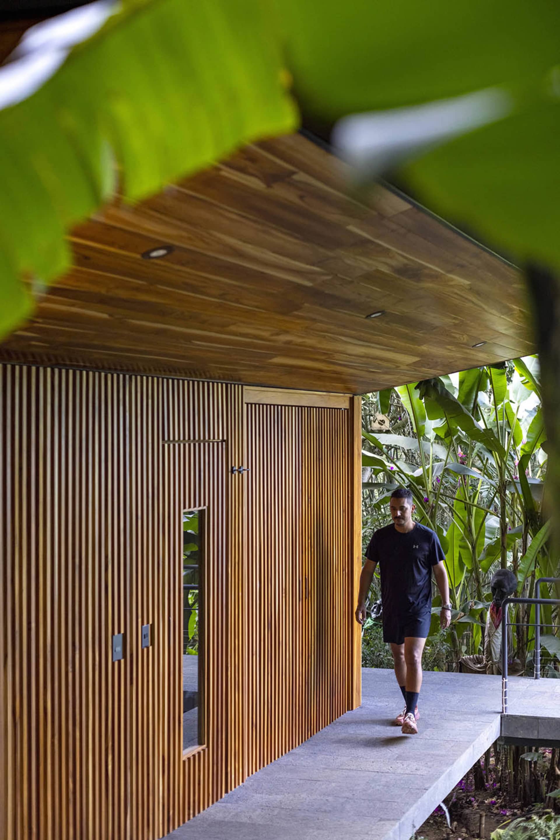A modern landscape with wooden features, including a pathway and a structure with a wooden ceiling and walls.