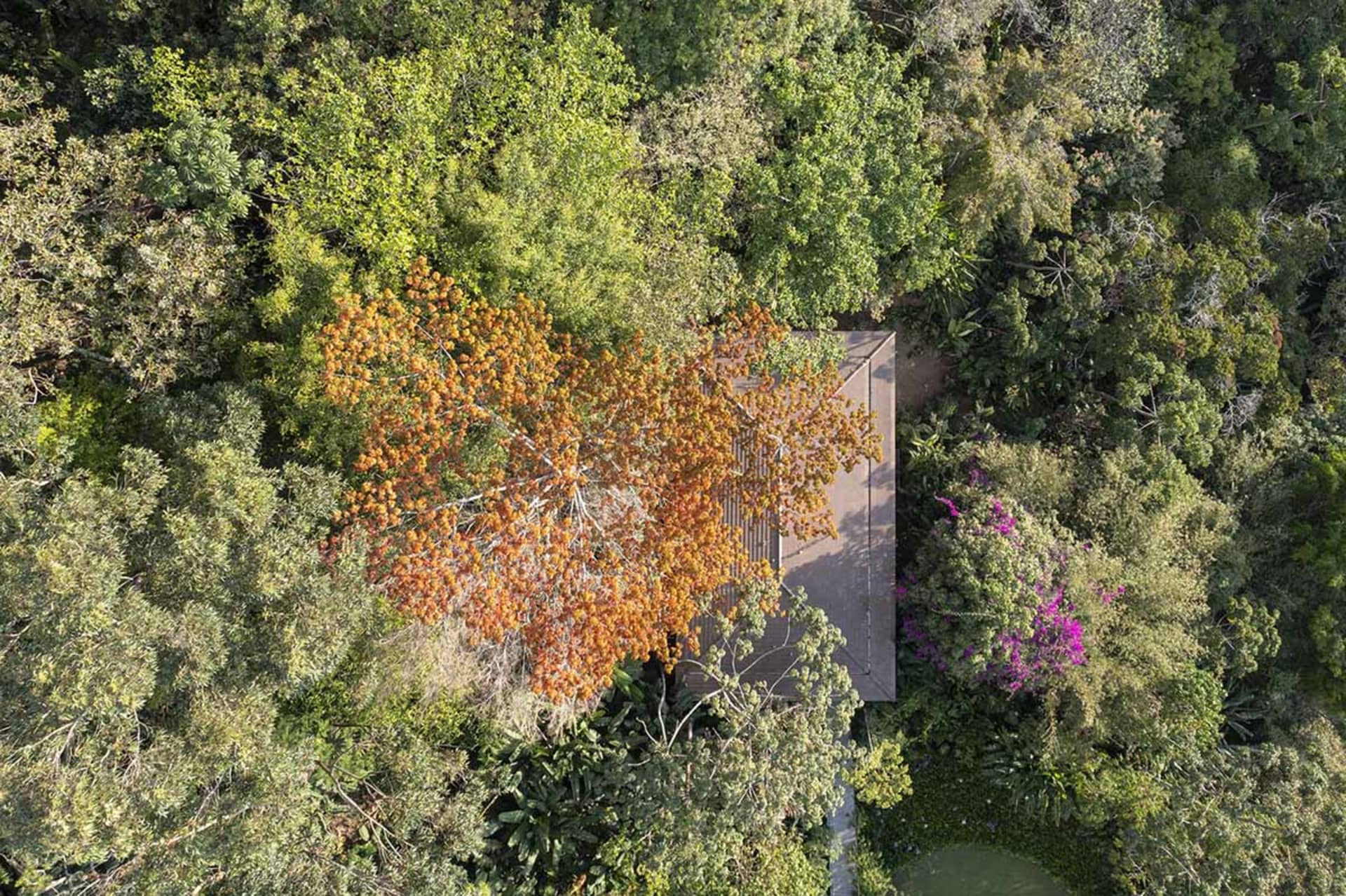 Aerial view of a modern residential tree house surrounded by lush greenery.