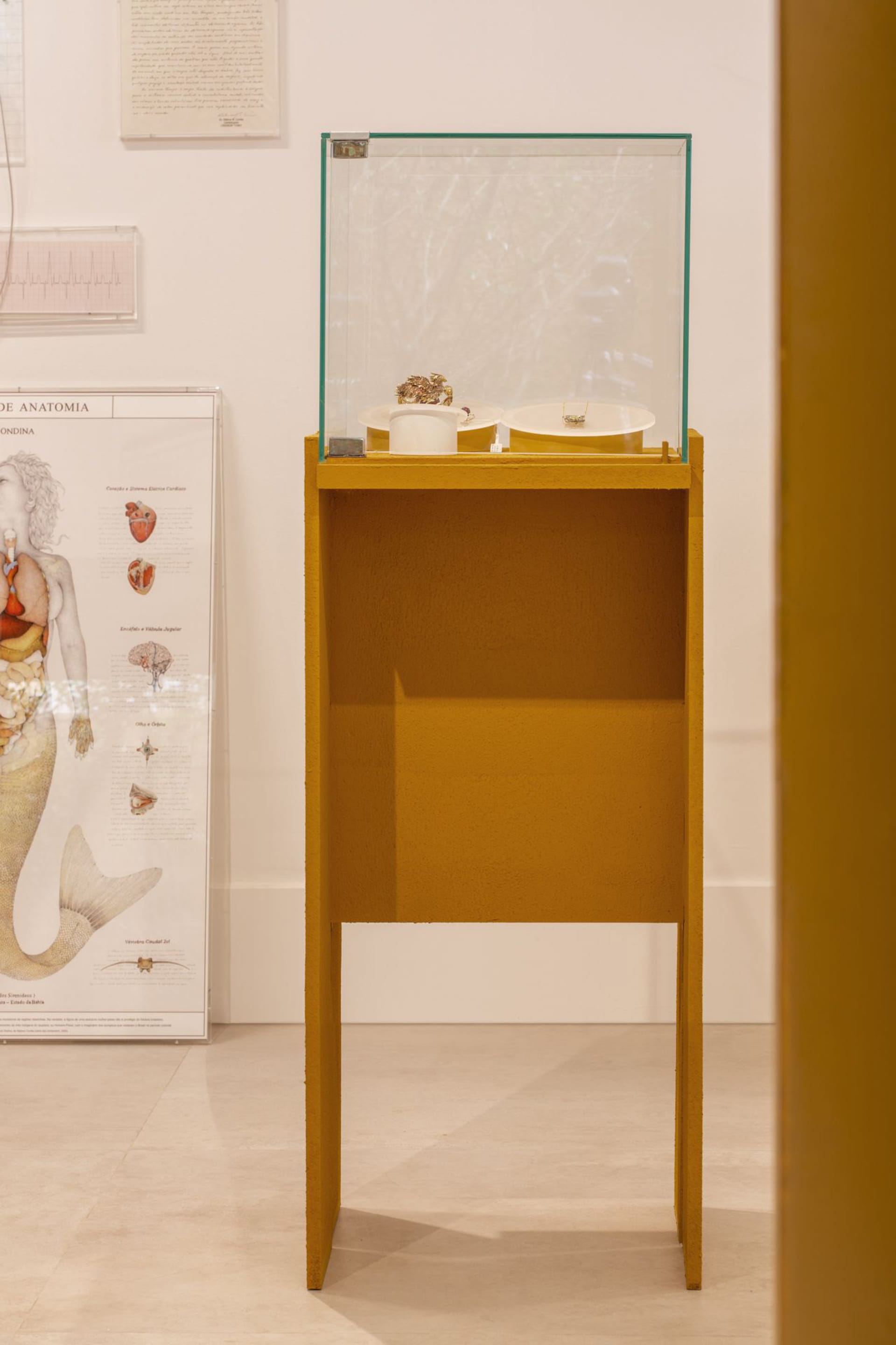 A yellow-painted wooden pedestal with a glass top, featuring an exhibit display case with small objects.