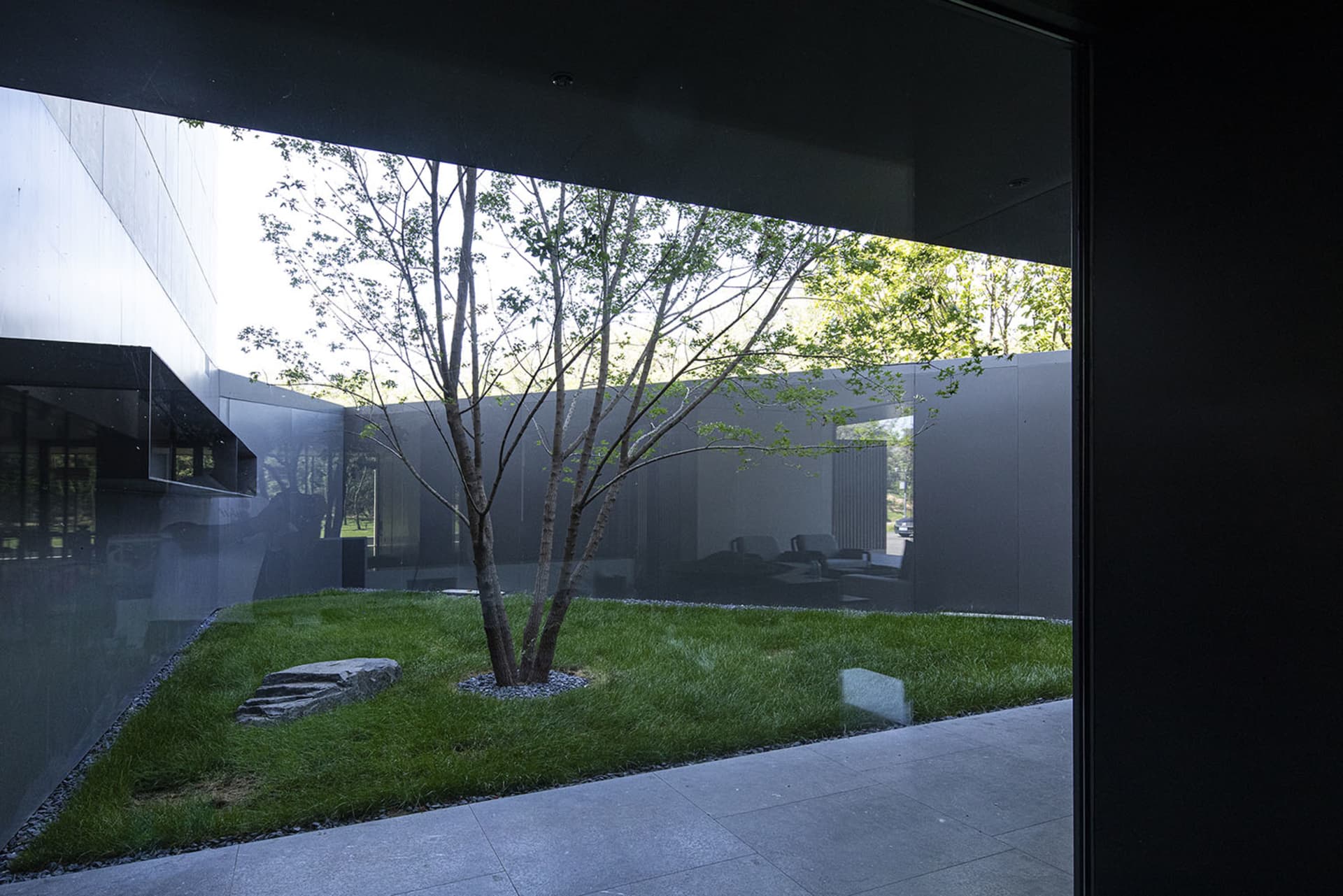 A minimalist garden courtyard featuring a tree on a grassy platform surrounded by glass walls and concrete ground.