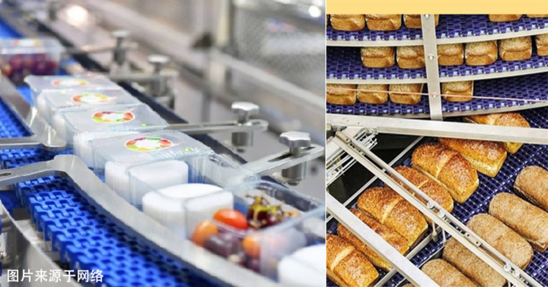 自動化食品生產線,配有金屬與塑膠組件。