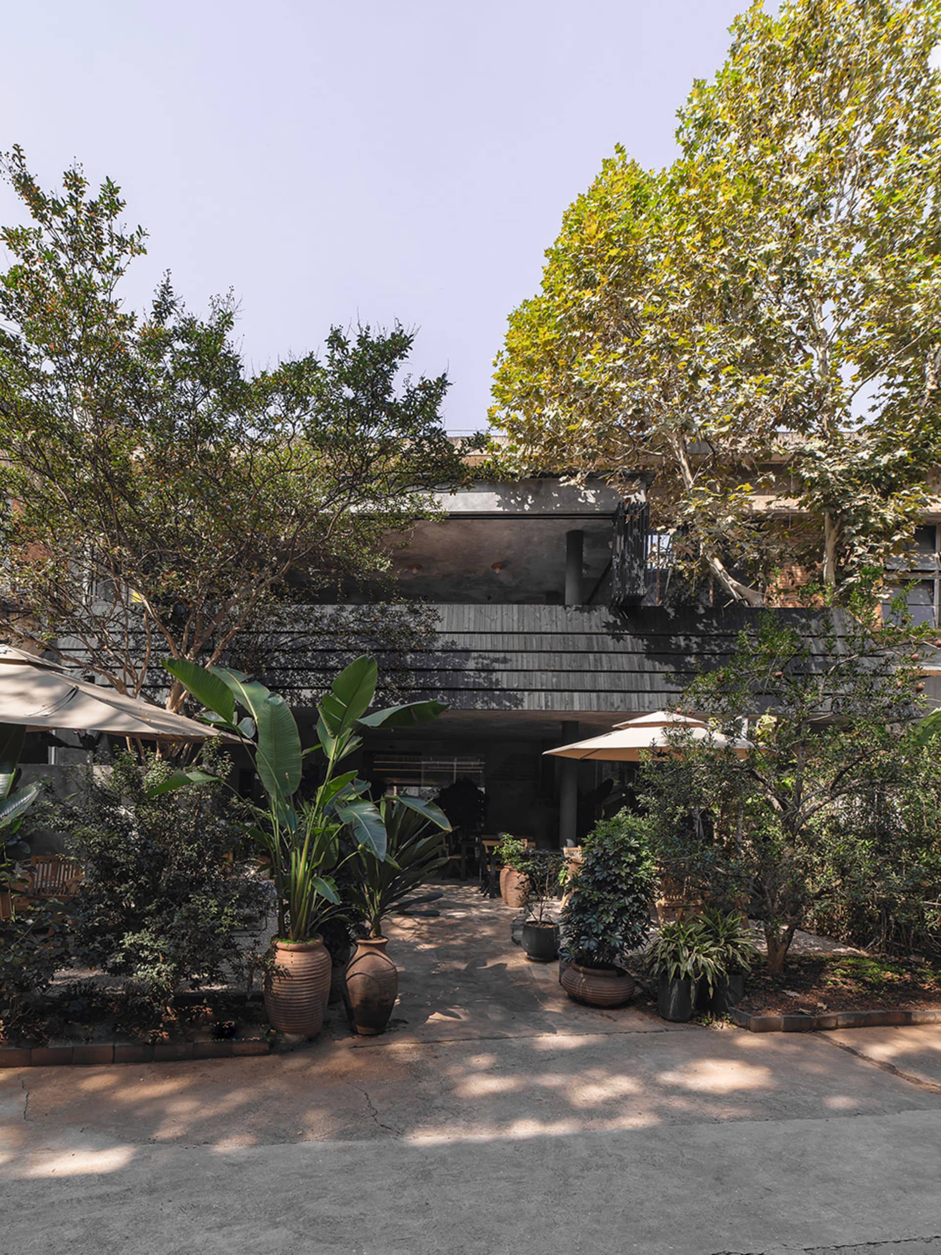 A modern exterior architectural design featuring concrete structures and lush green plants.