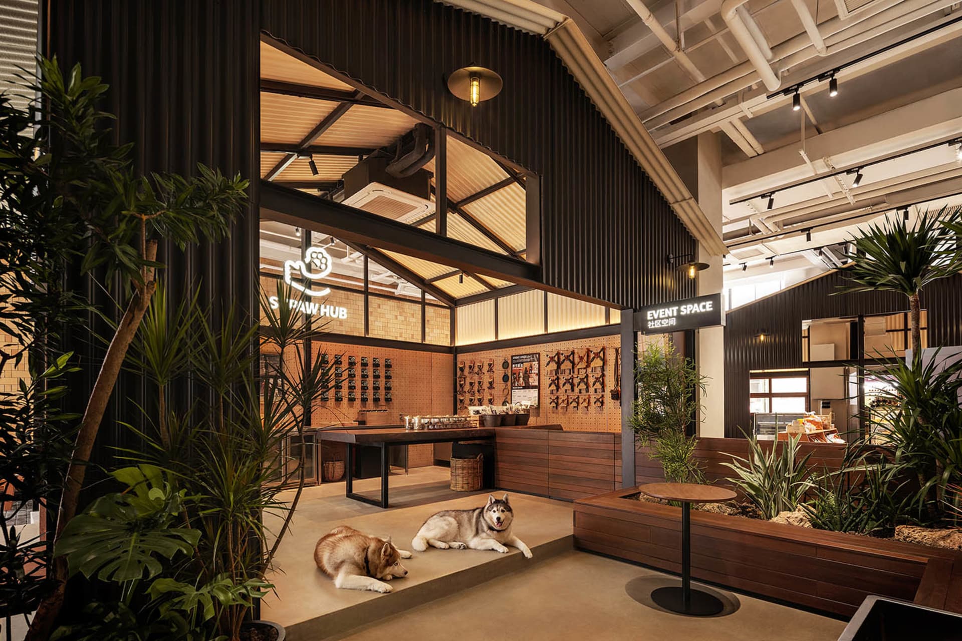 Indoor dog-friendly cafe with wooden furniture, metal accents, concrete floor, and green plants