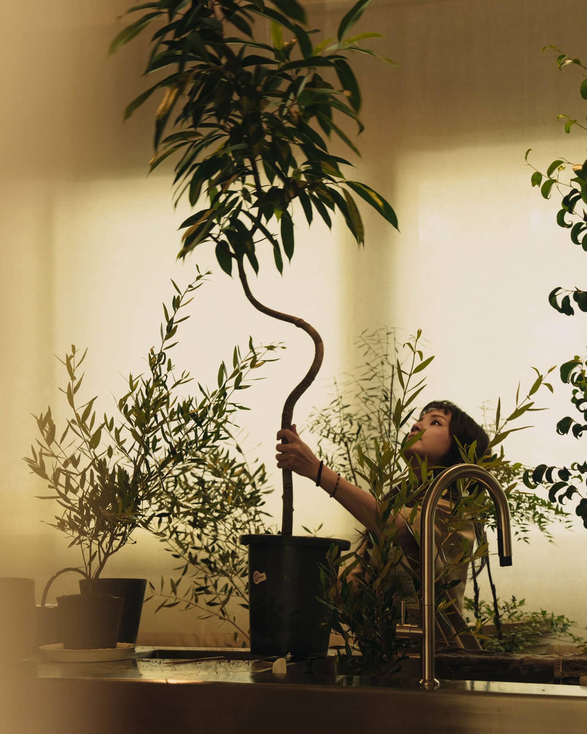 A woman gardening in a cozy indoor space surrounded by various plants and greenery.