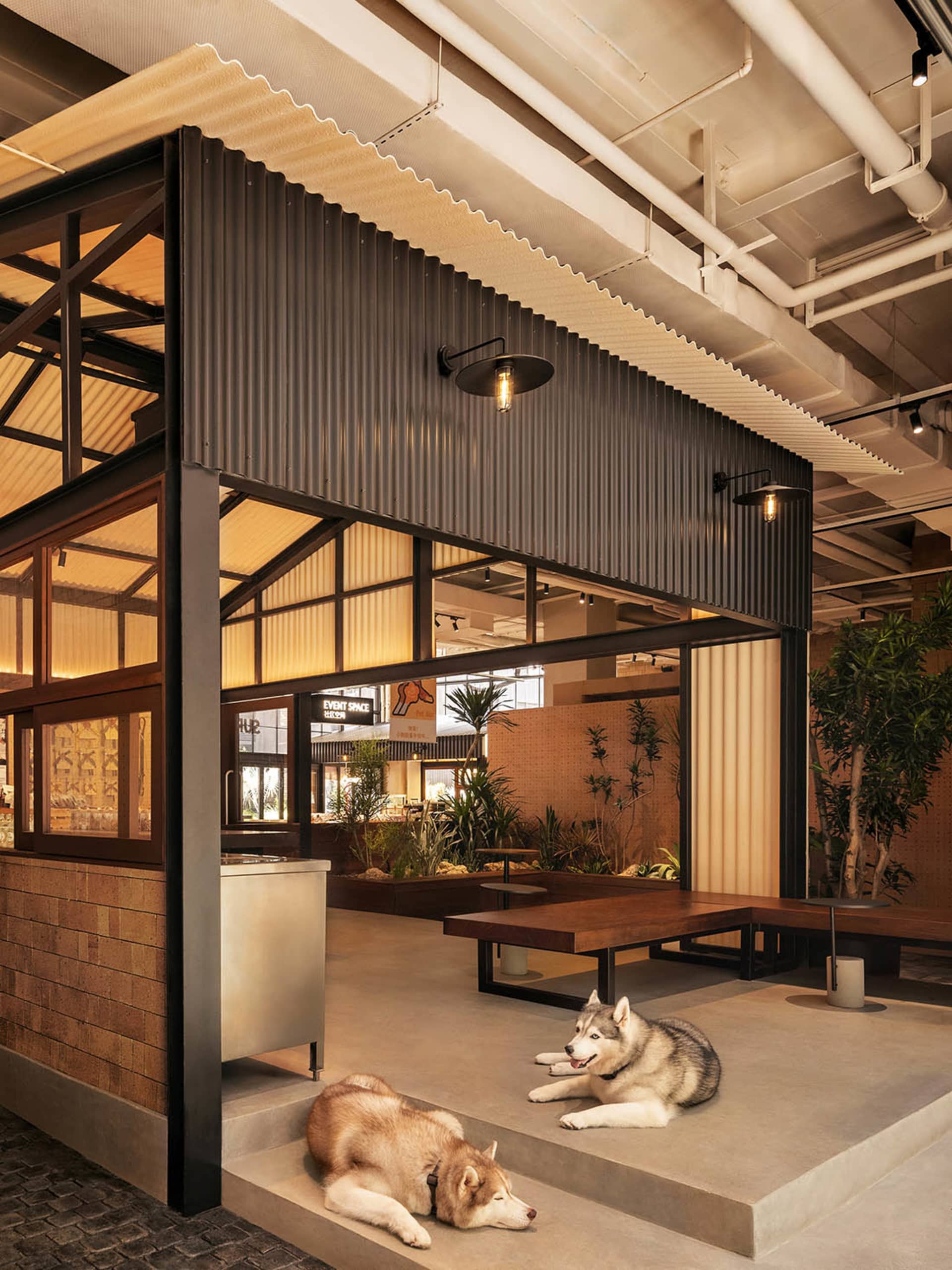 A cozy coffee shop featuring industrial design elements like corrugated metal, wood accents, and concrete floor.