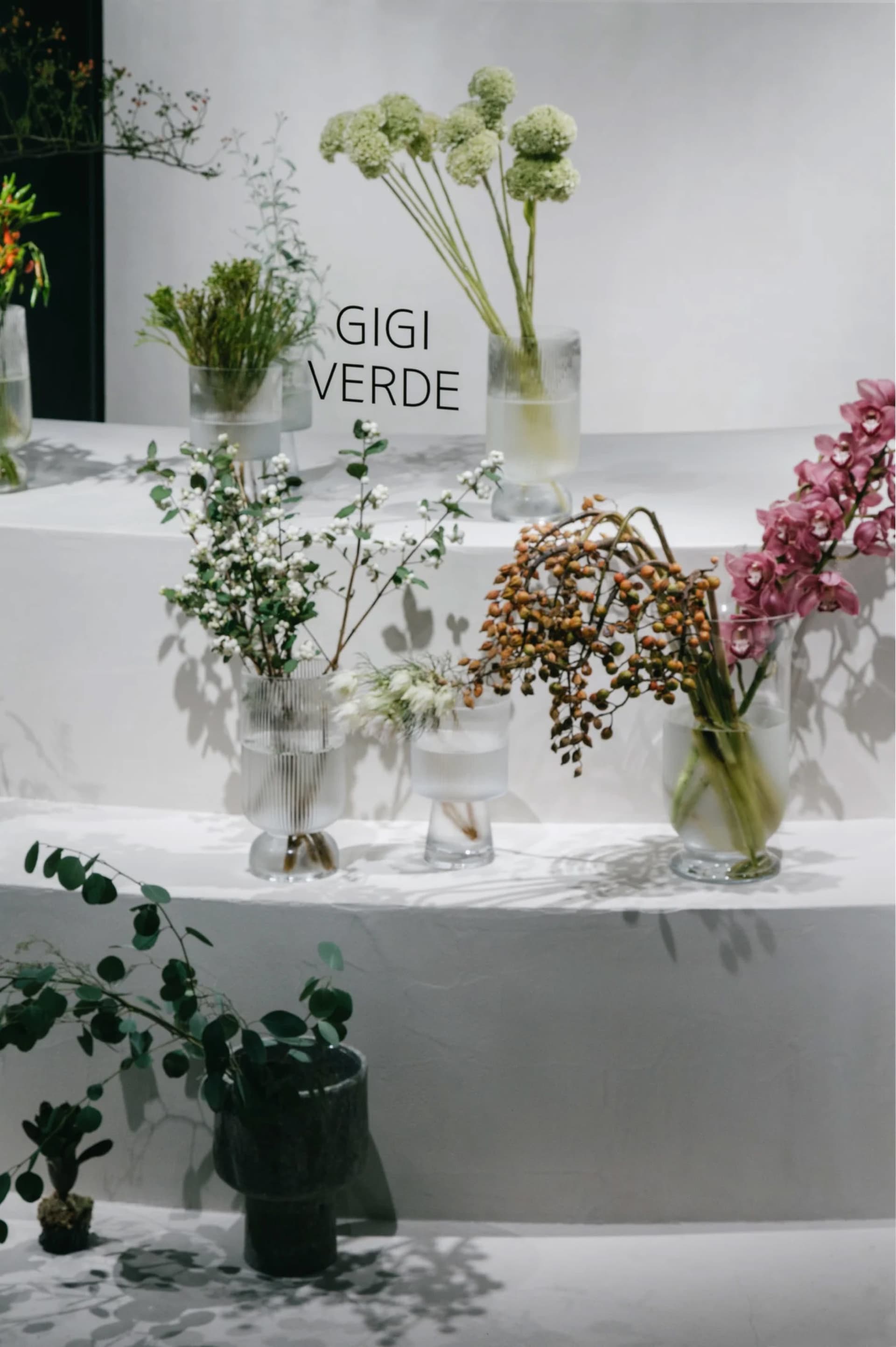 A collection of glass vases and plant arrangements displayed on a white surface, showcasing a modern indoor garden aesthetic.