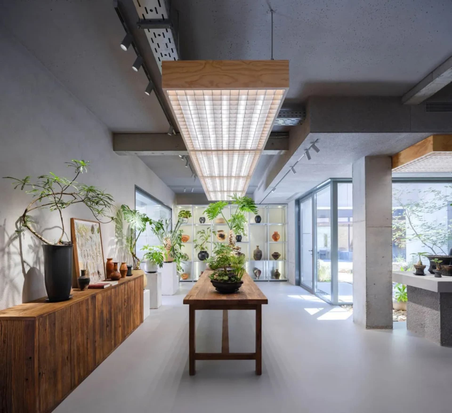 This image depicts an industrial-style garden center interior with concrete walls and a minimalist design focused on showcasi