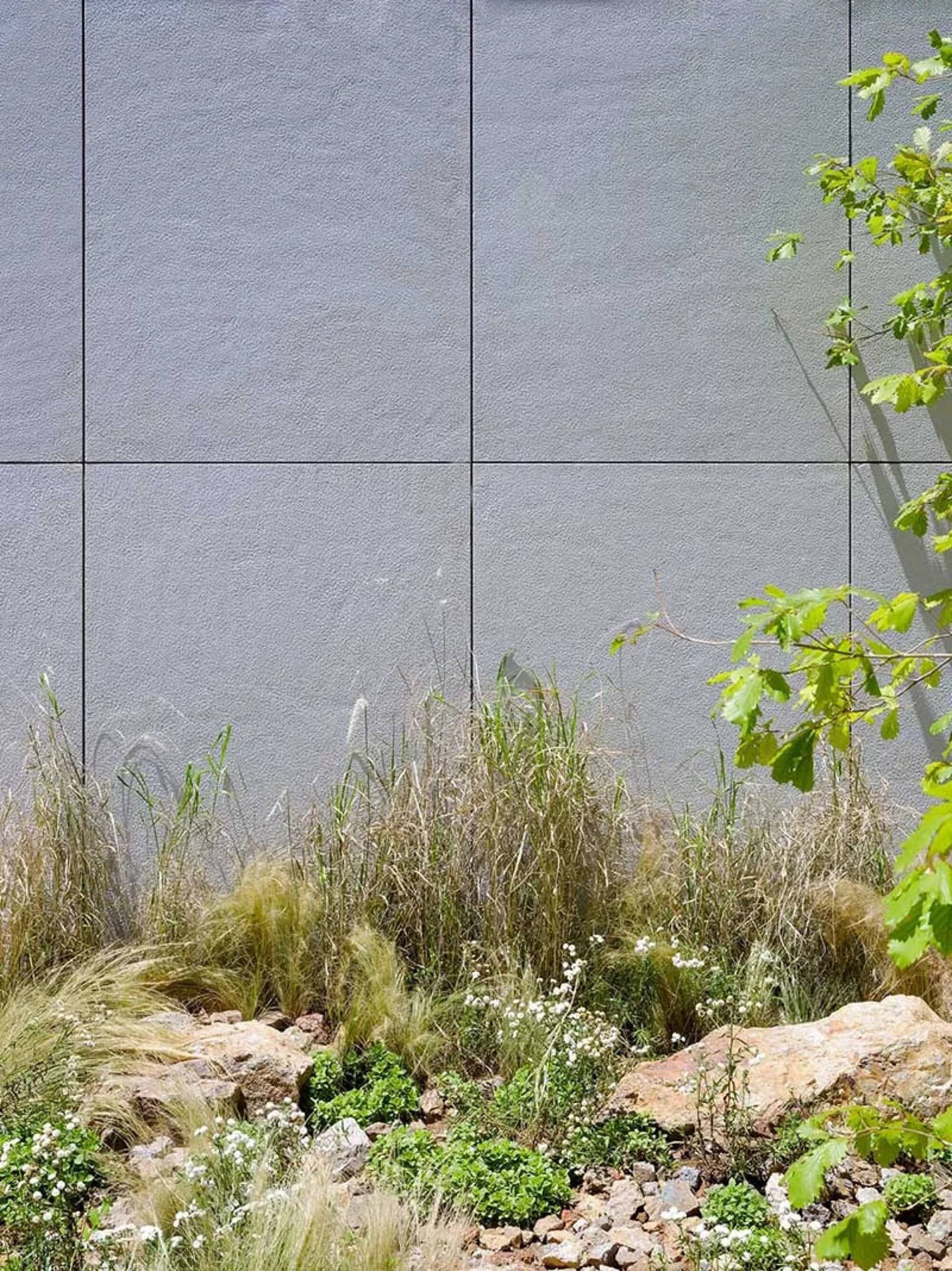 A modern wall made of concrete with greenery growing at its base.