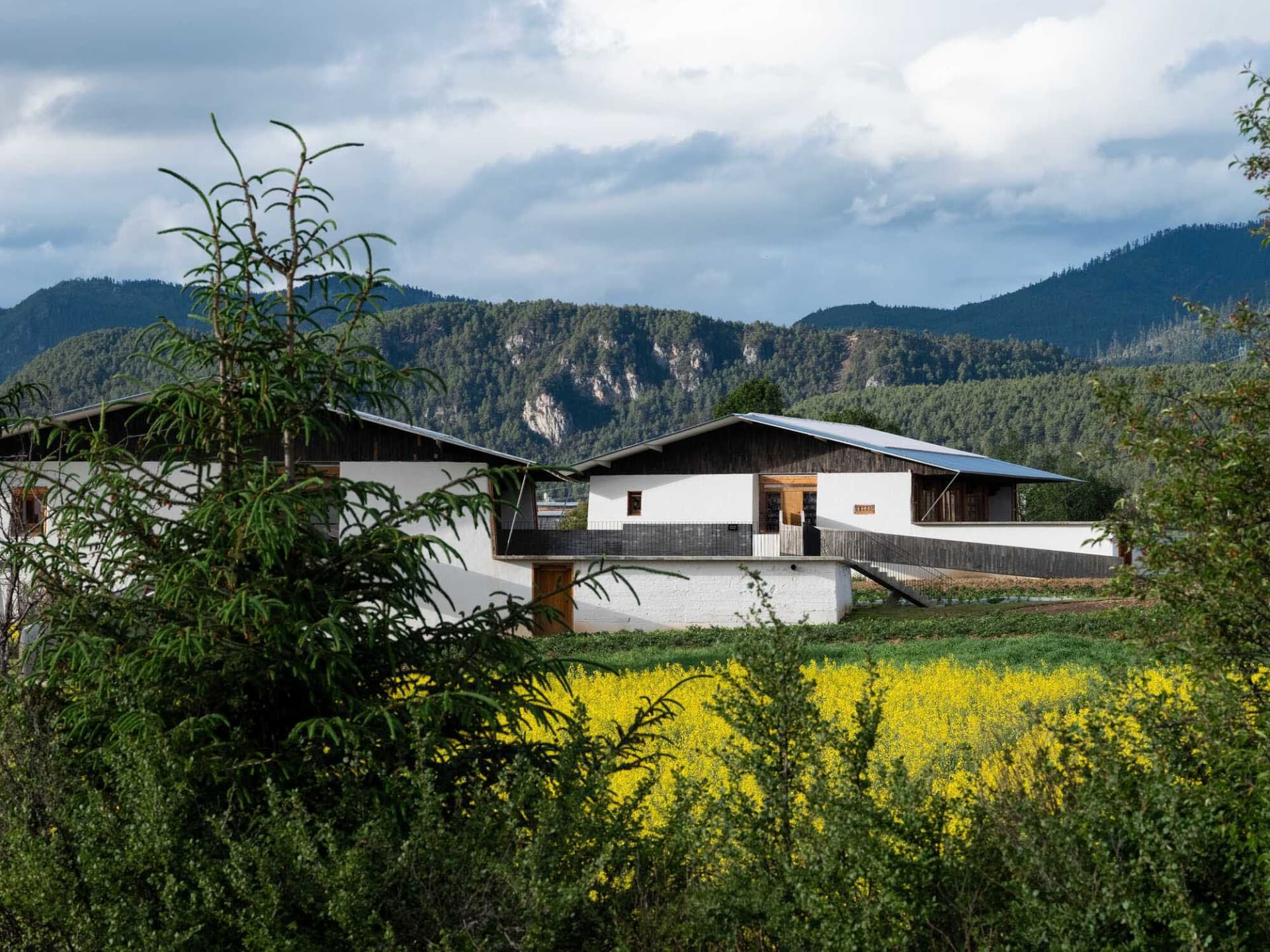 A modern farmhouse exterior with white stucco walls, wooden accents, and metal roof.