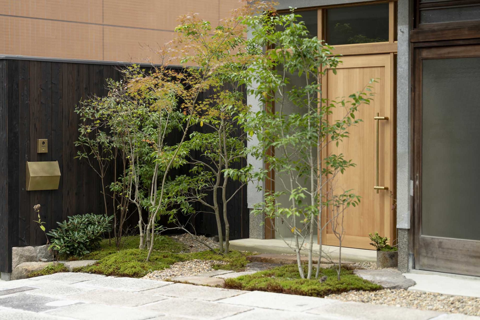 A minimalist entrance with a wooden door surrounded by greenery and a small tree.