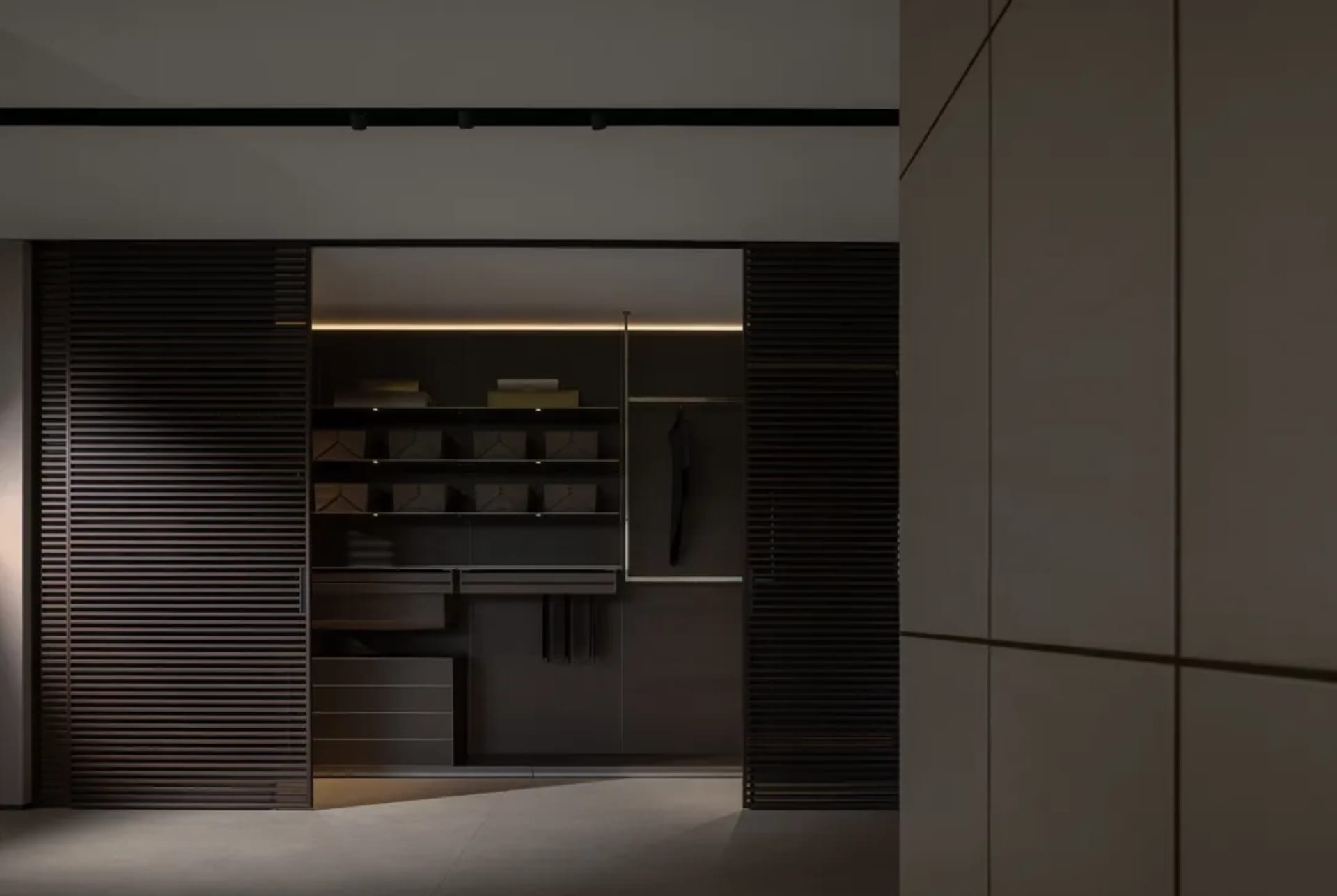 Modern minimalist closet with metallic gray and wood elements.
