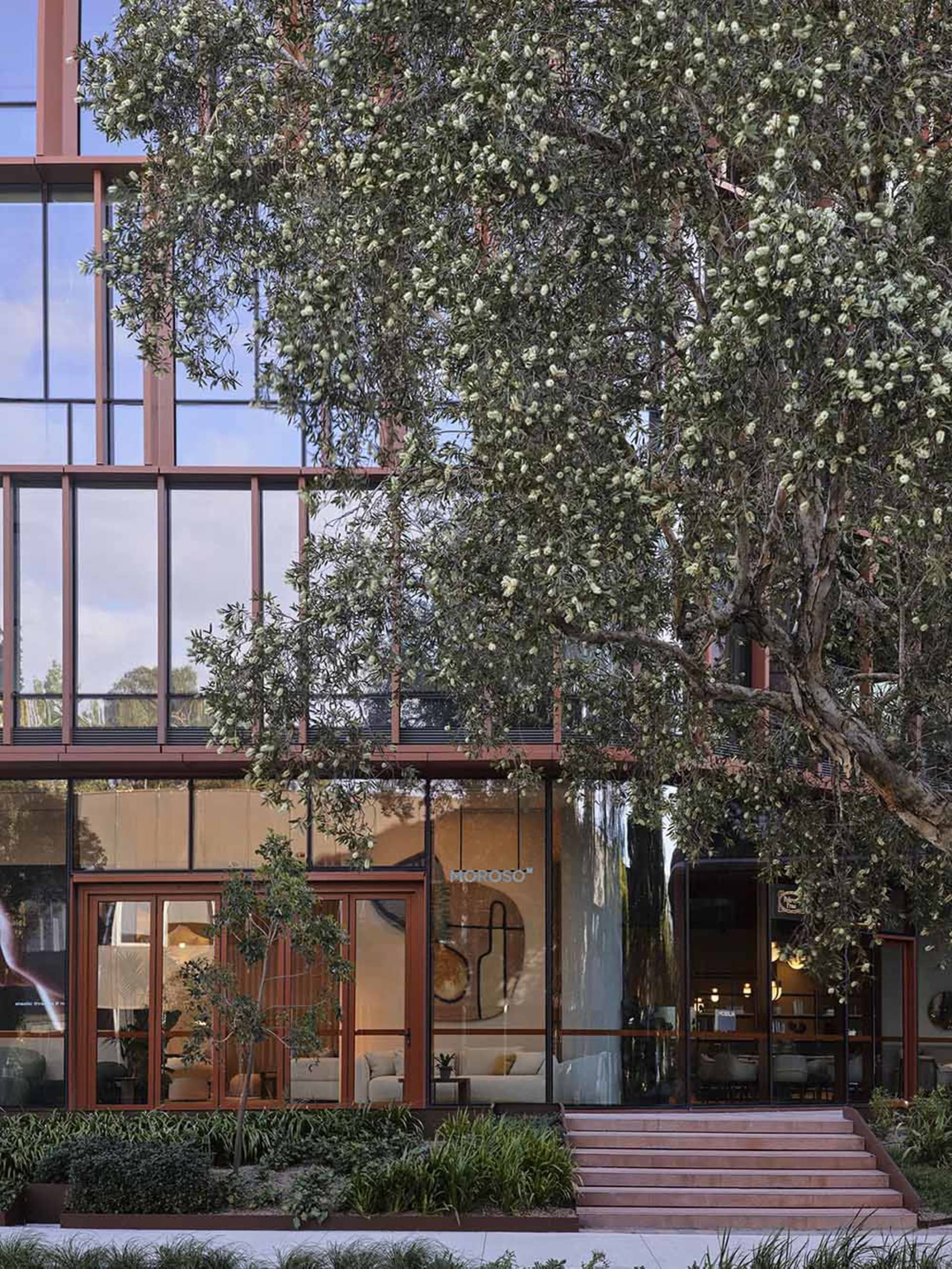 A modern building exterior featuring large glass windows and a mature tree outside.