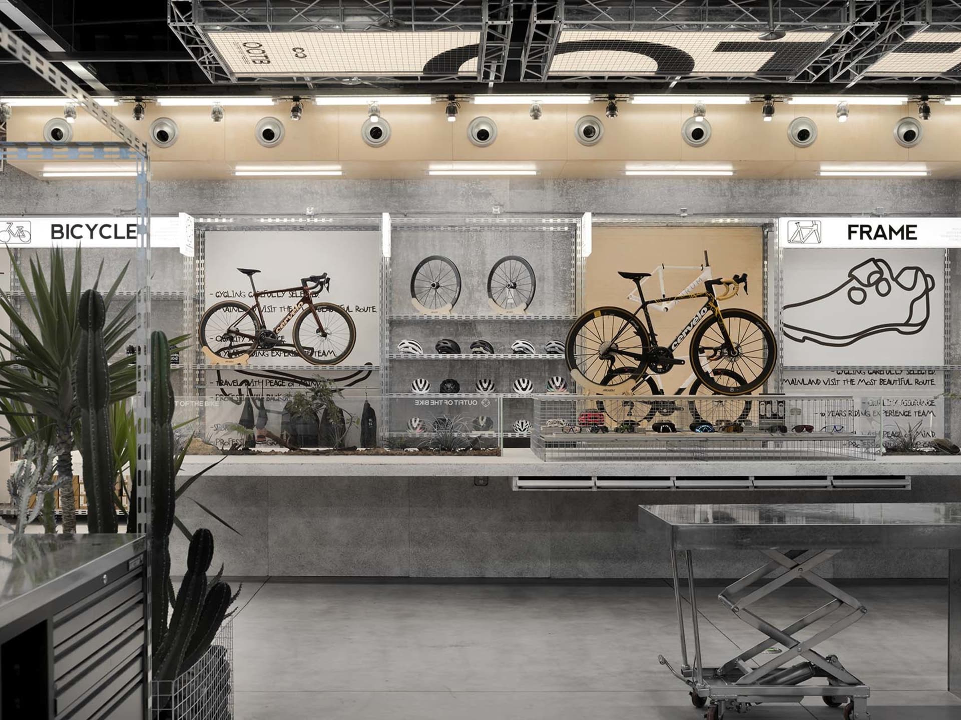 Sophisticated Retail Concept 1
