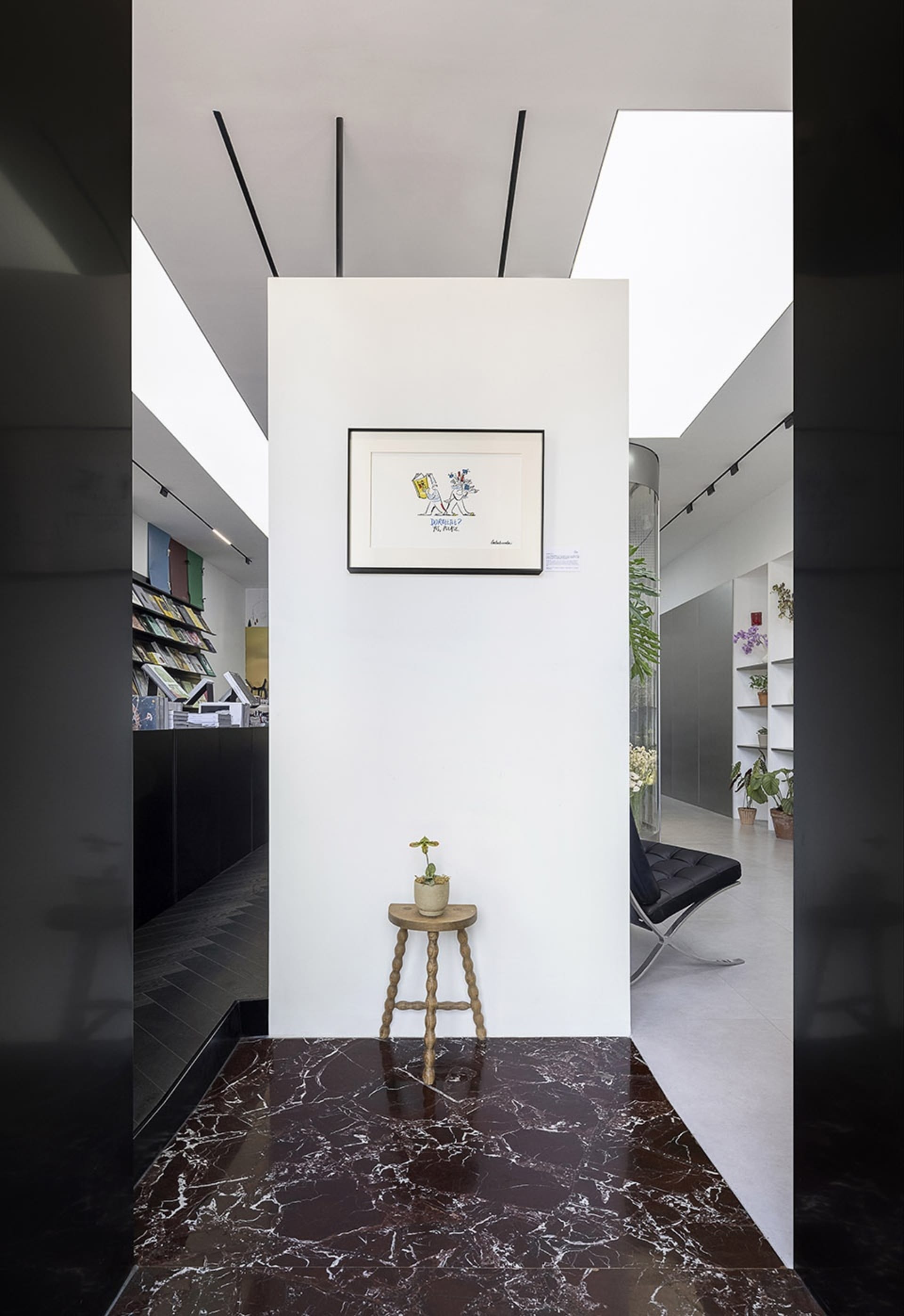 Luxurious Retail Collection 2