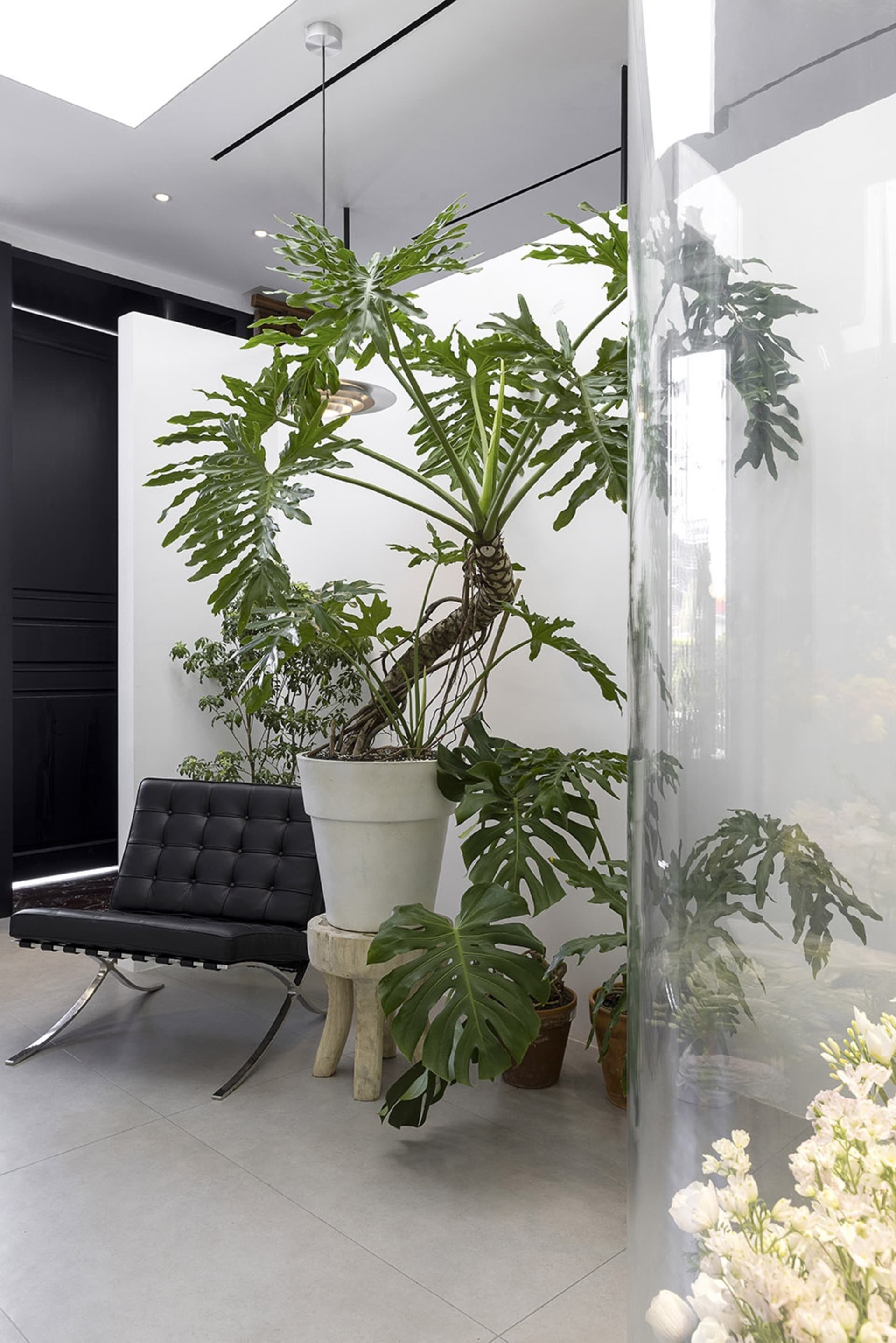 Modern, minimalist living room featuring green plants in various pots, a black leather chair, and wooden floor.