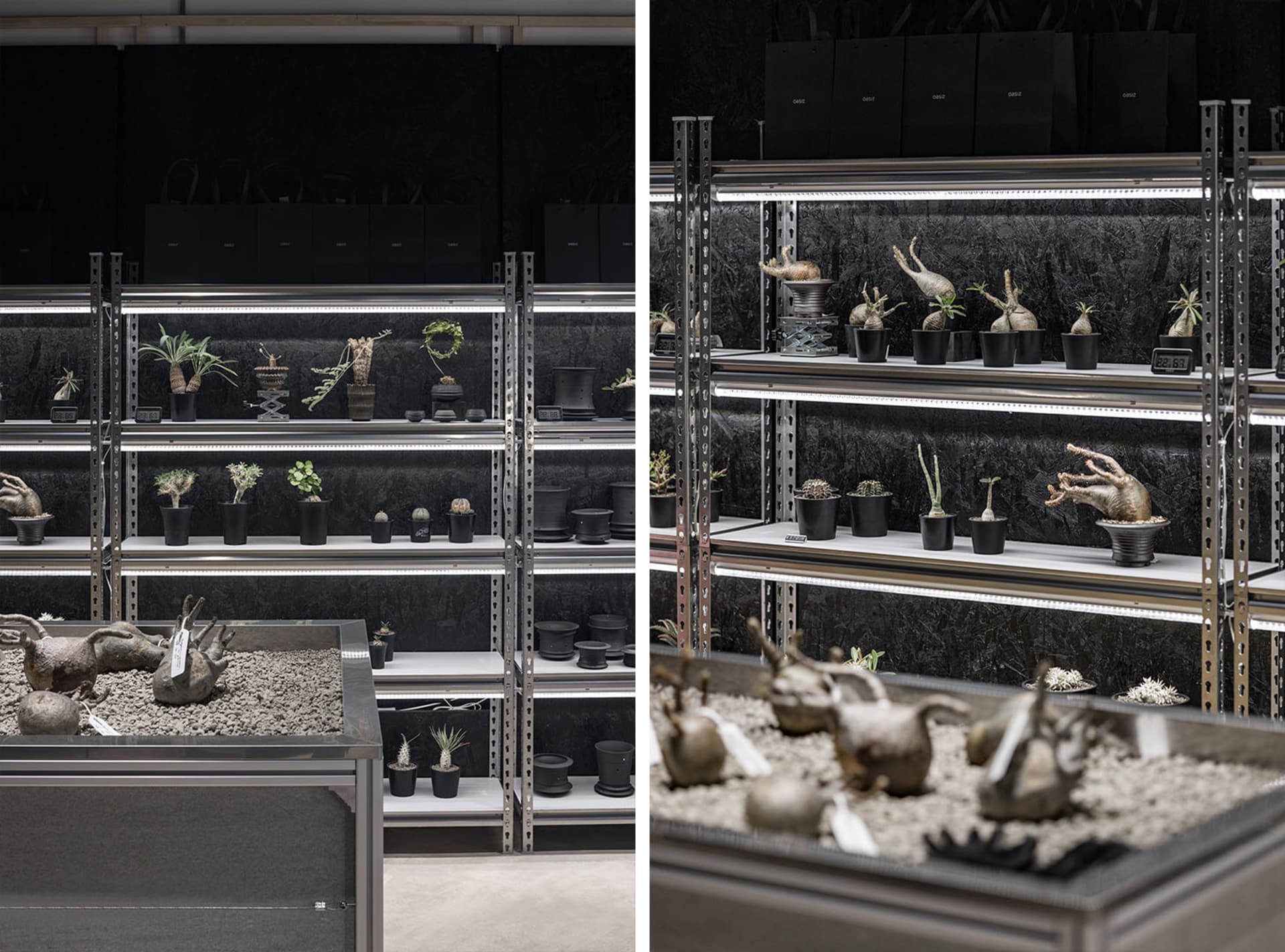 各種盆栽植物與小擺飾陳列在金屬層架上,背景為深色調。