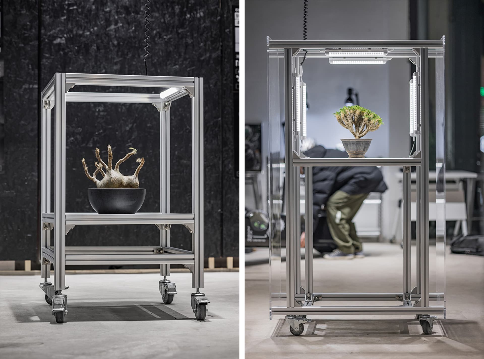 Industrial plant incubator with metal frame and acrylic panels