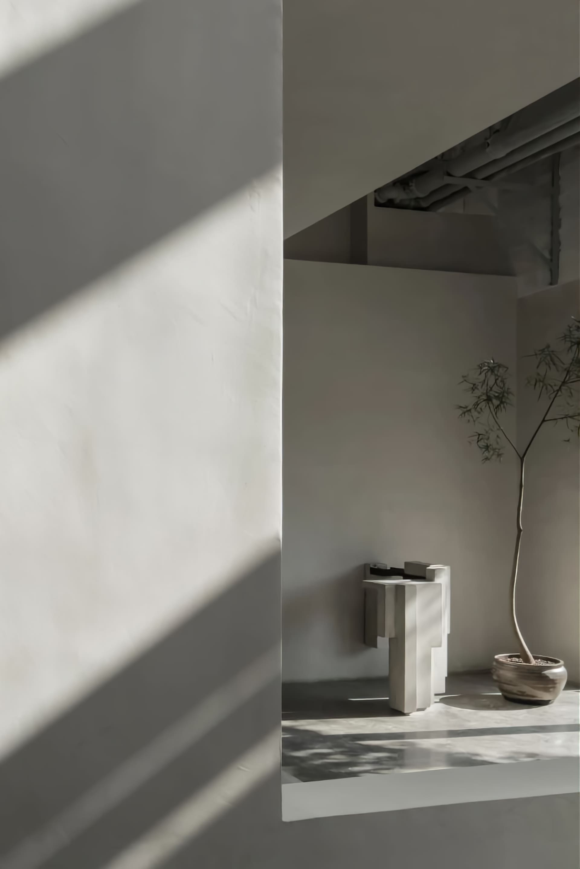 A minimalist living room featuring concrete furniture and a single potted plant casting shadow patterns on the wall.