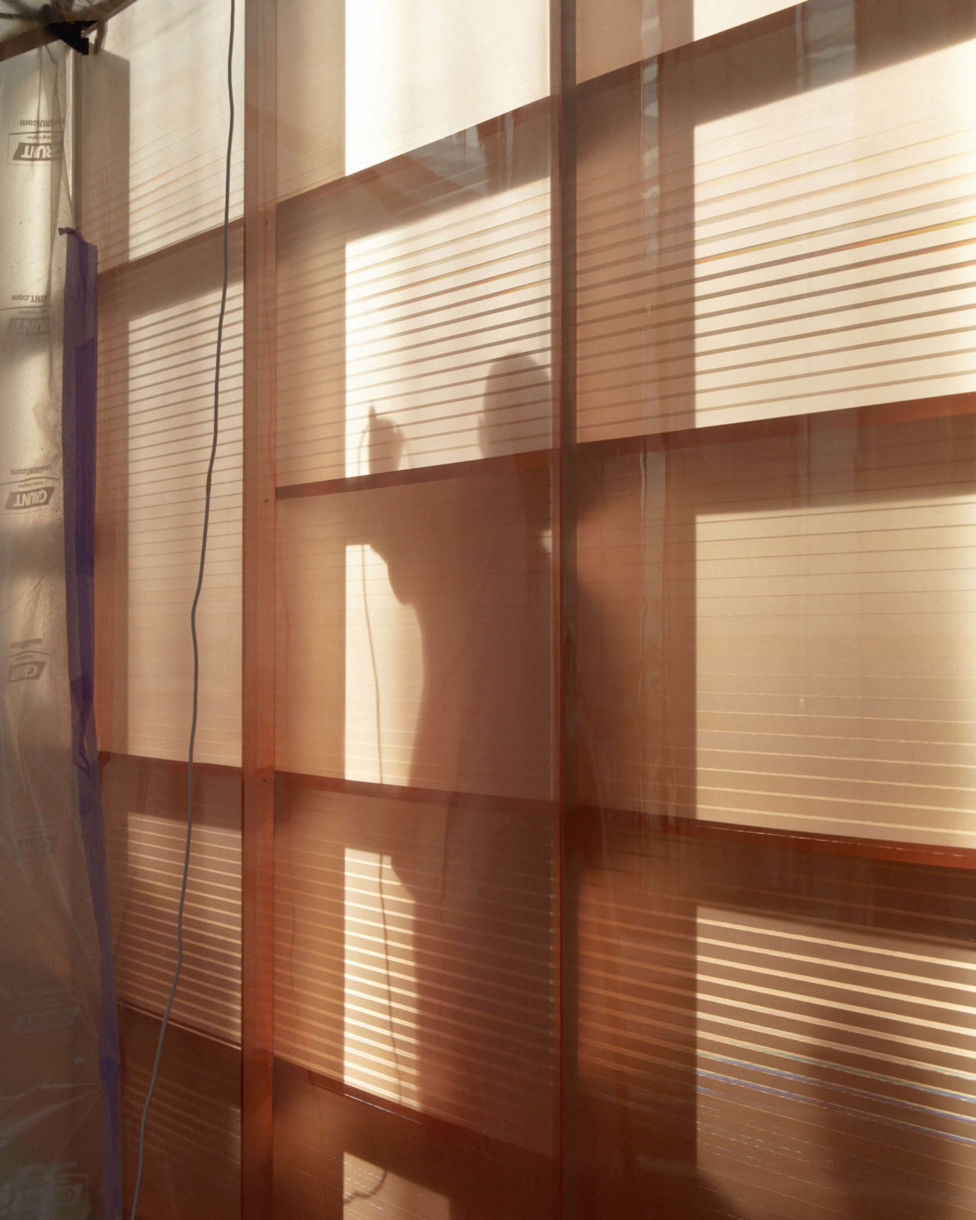 A photograph of sunlight filtering through sheer, metallic fabric curtains, casting intricate shadows and patterns on the wal