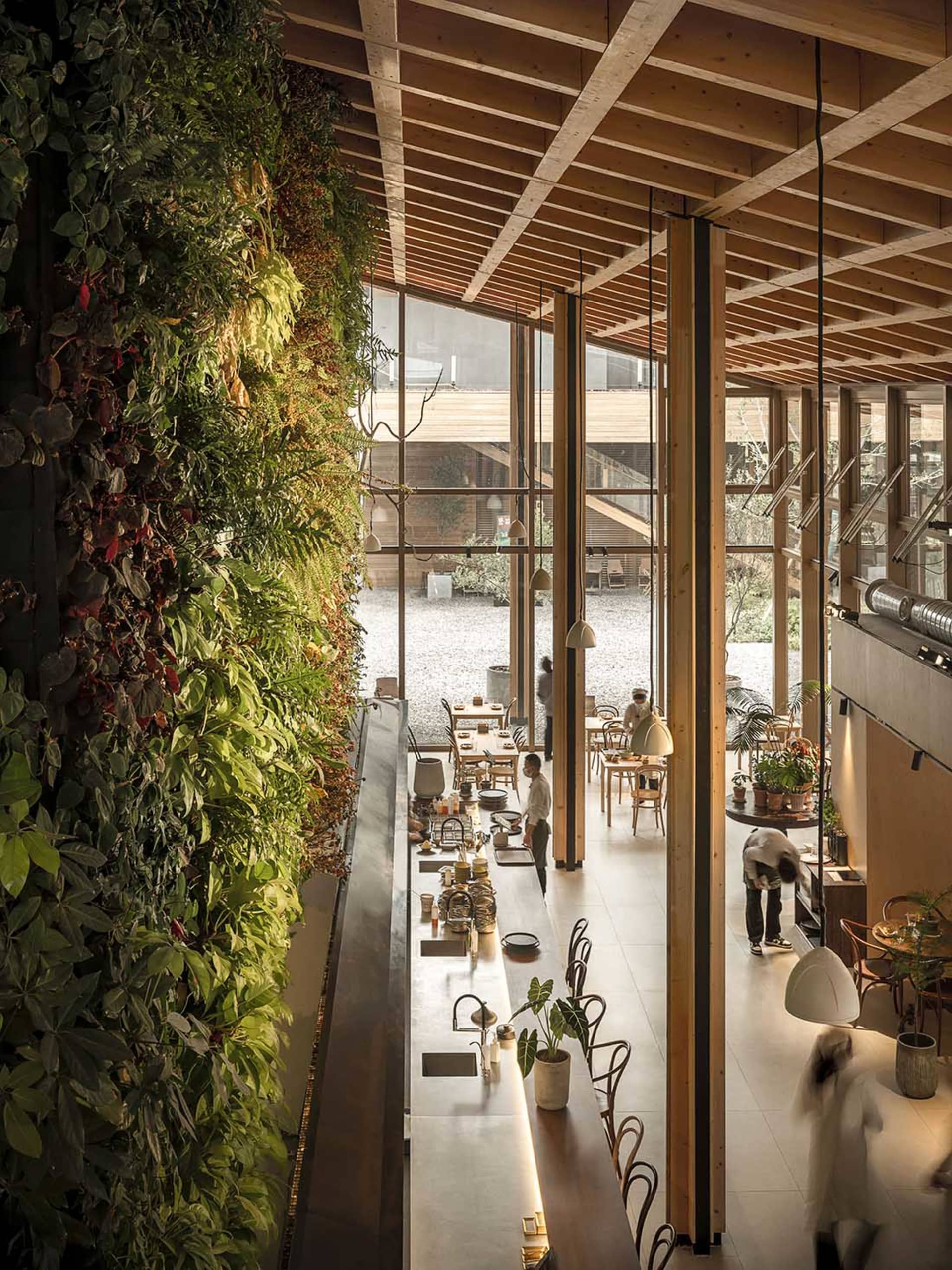 現代工業風餐廳室內,綠意植生牆、木質天花板橫樑,以及可引入自然光的玻璃窗。