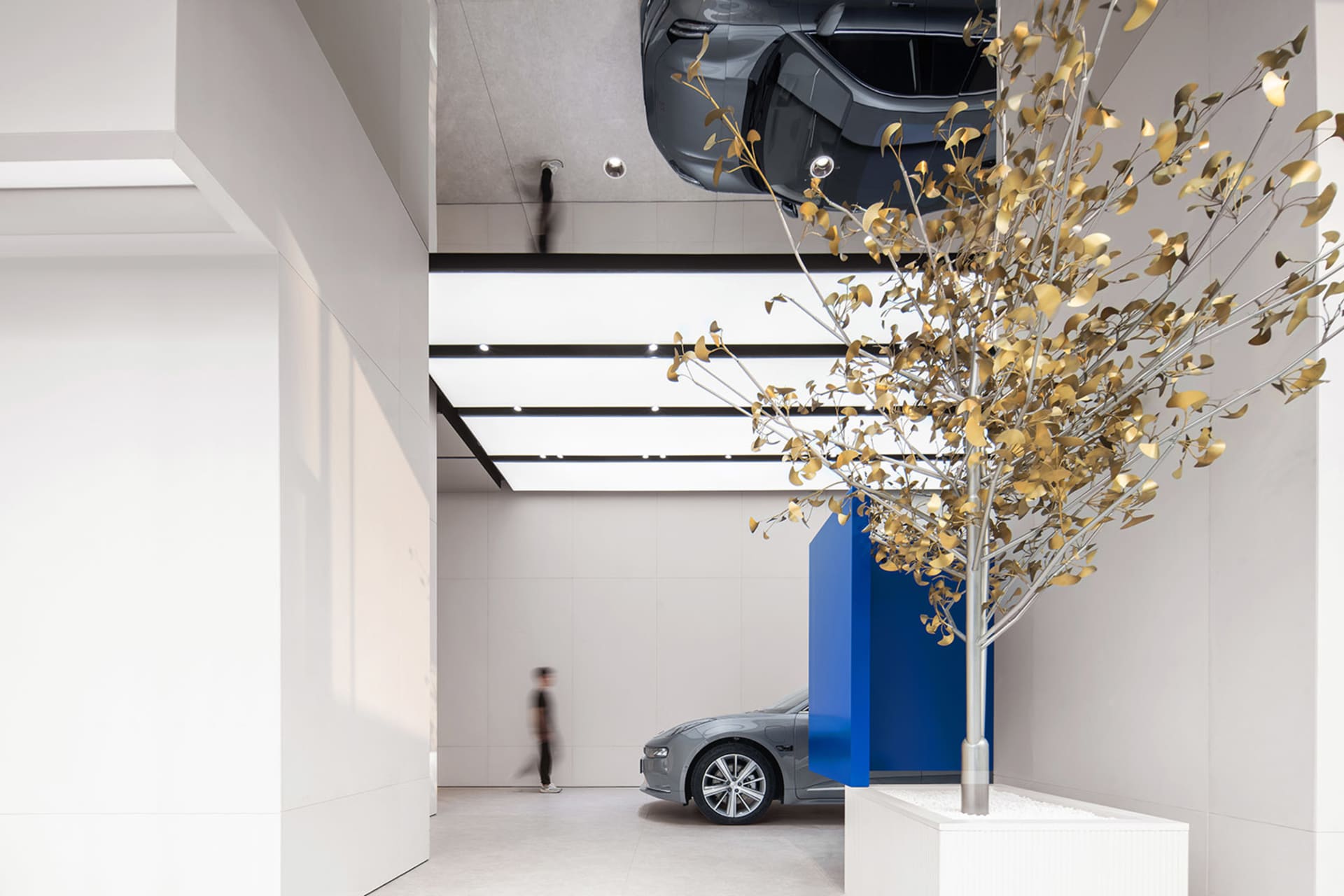 A modern car dealership with glass walls and concrete floors.