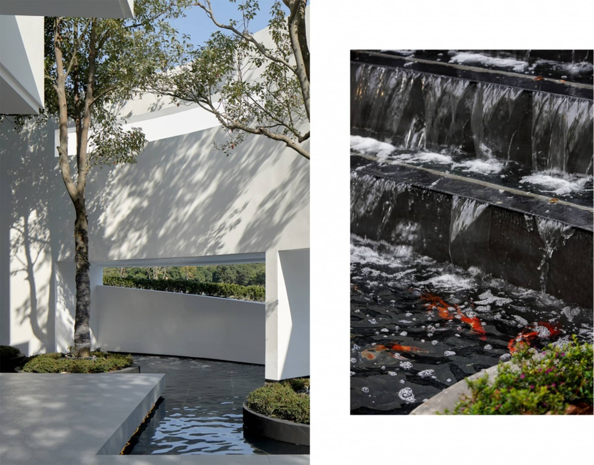 一座現代水景花園，擁有俐落的白色牆面、層疊瀑布以及錦鯉。