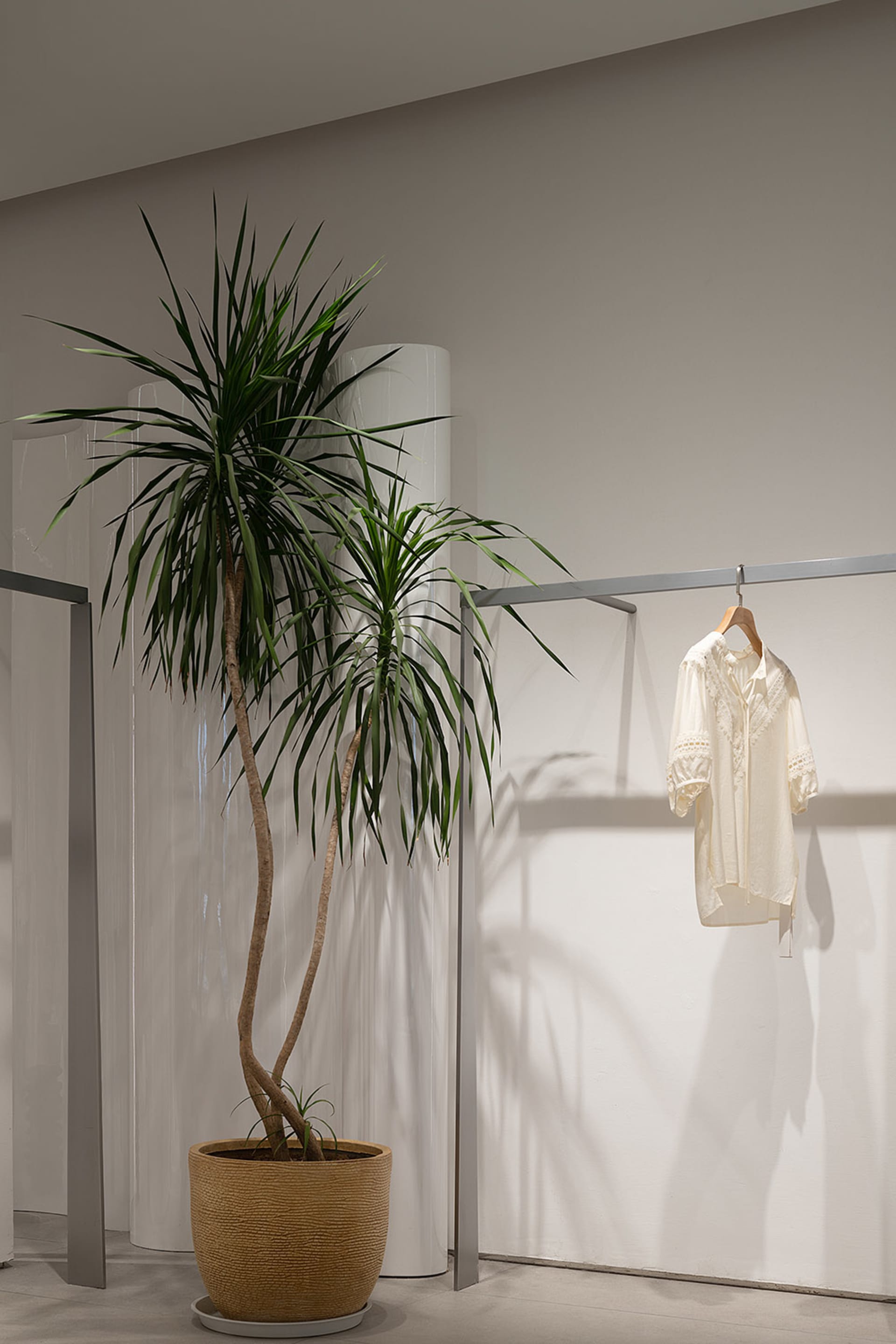 Modern clothing display with natural light and minimalist design.