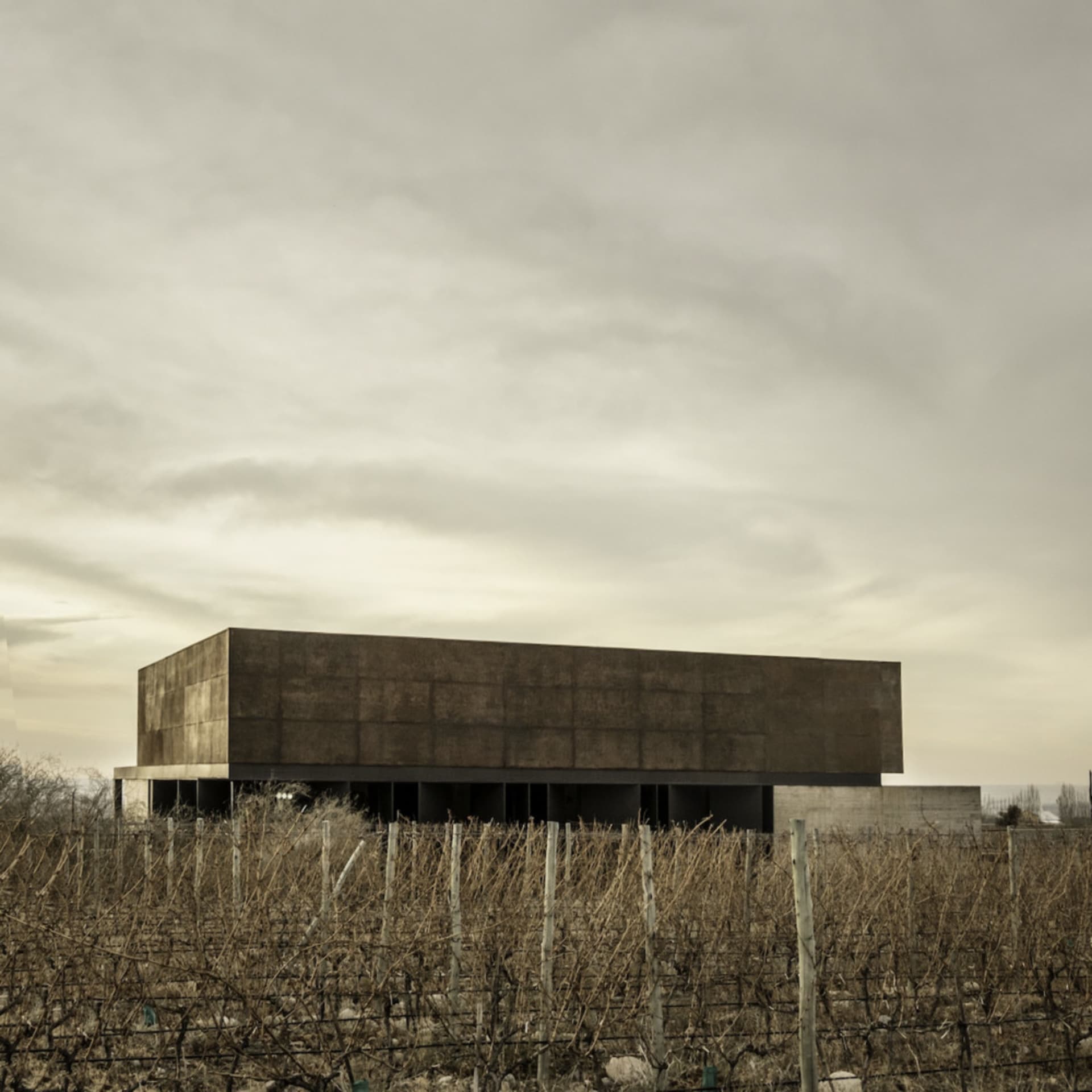 Modern minimalist building with a concrete exterior in an open field.