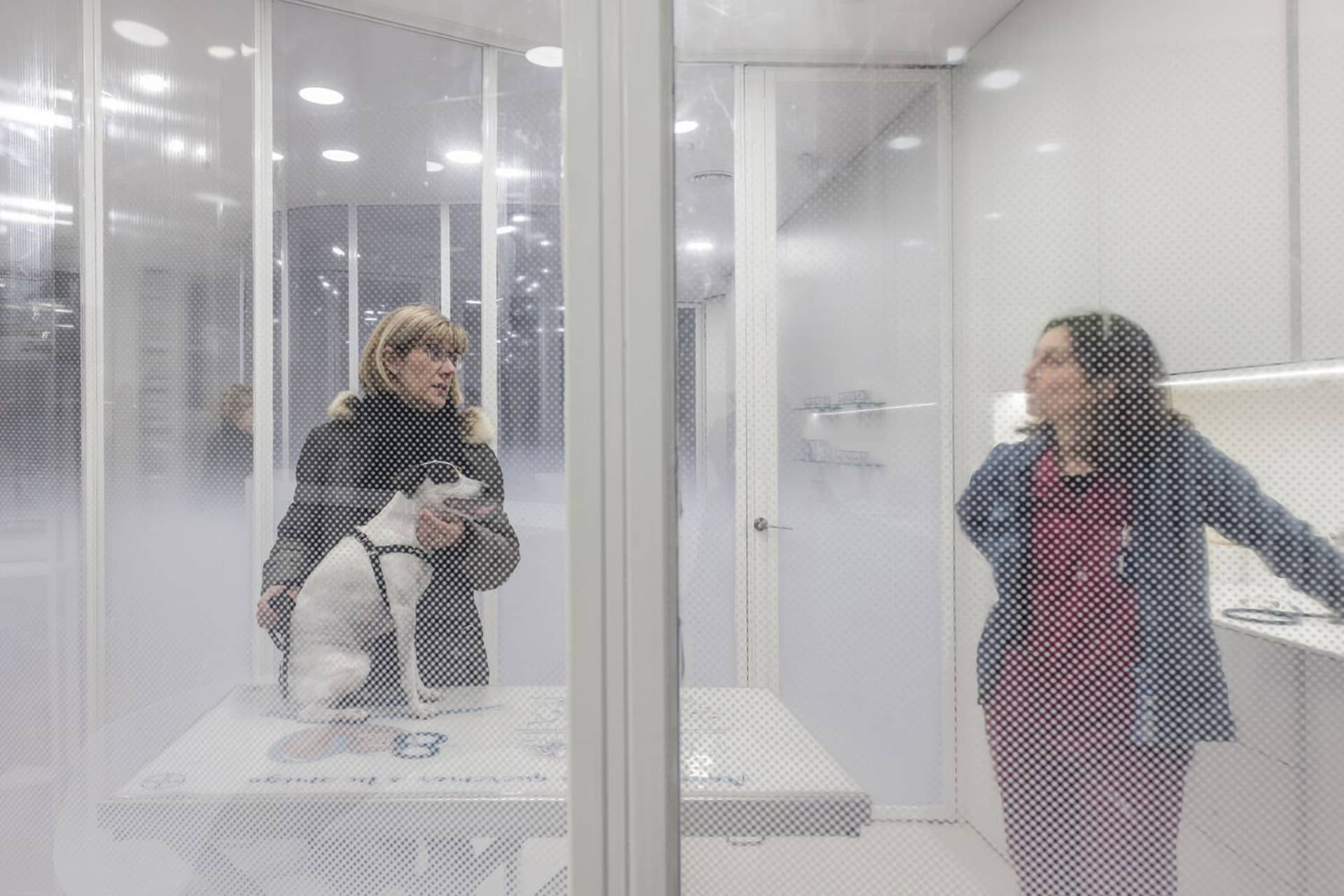 A woman with a dog standing behind a glass-panelled wall in an animal clinic.