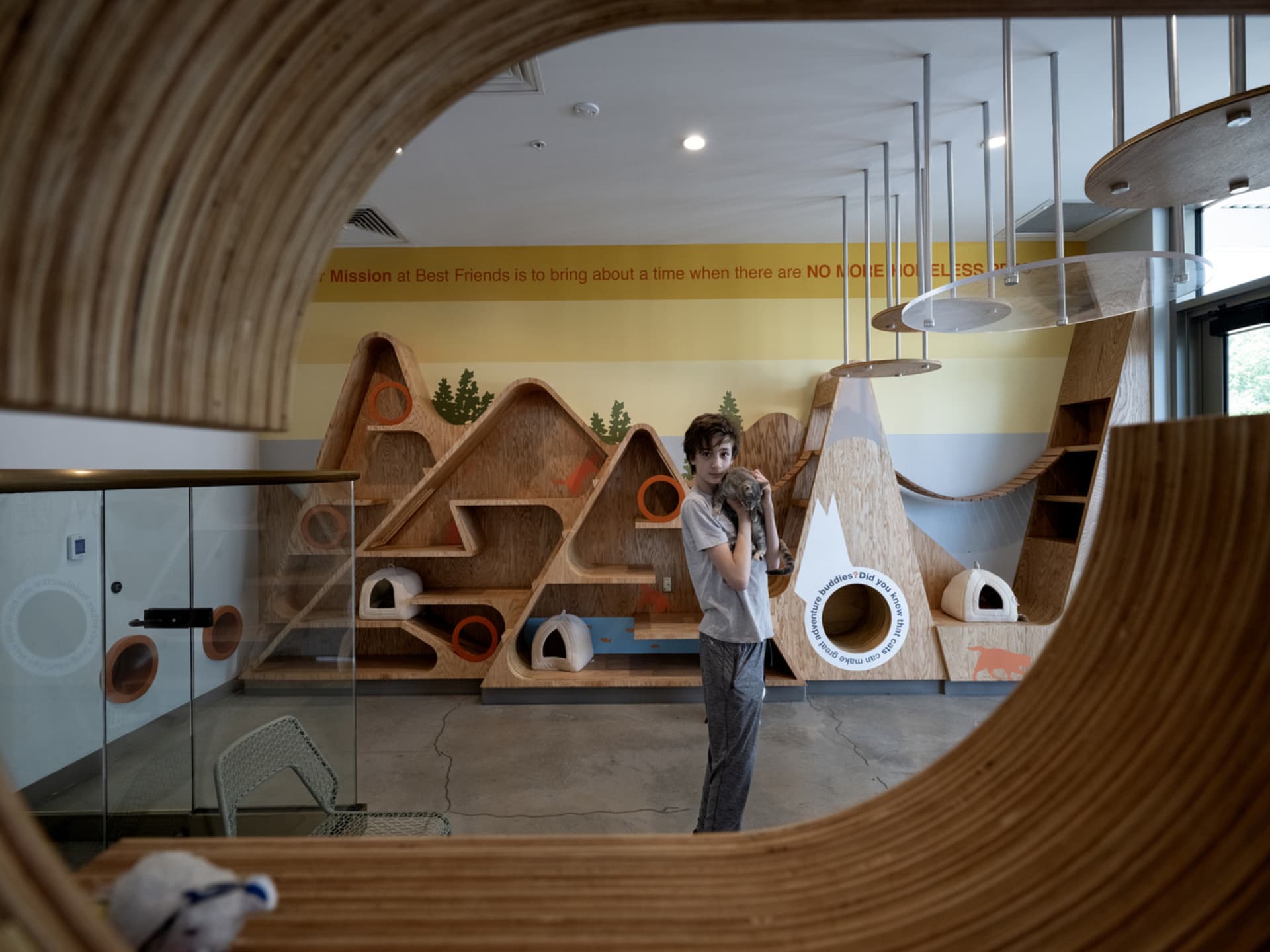 A cat shelter with modern design features made of wood.