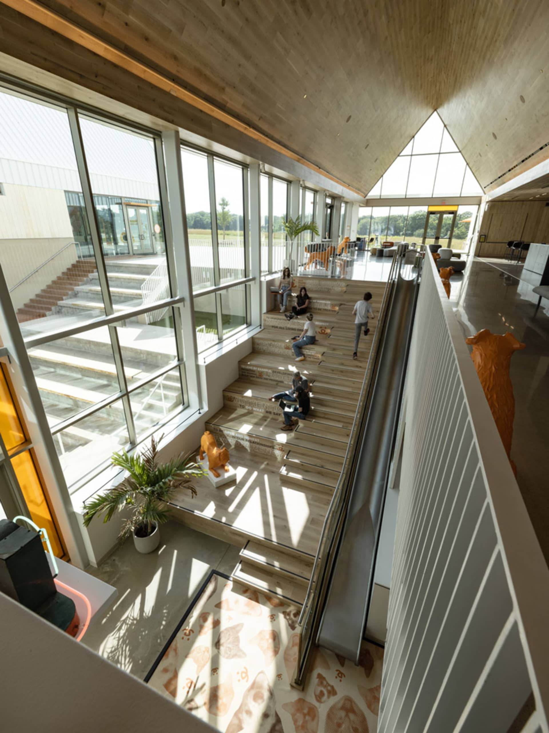 An interior view of a modern office space featuring wood, glass, and concrete materials.