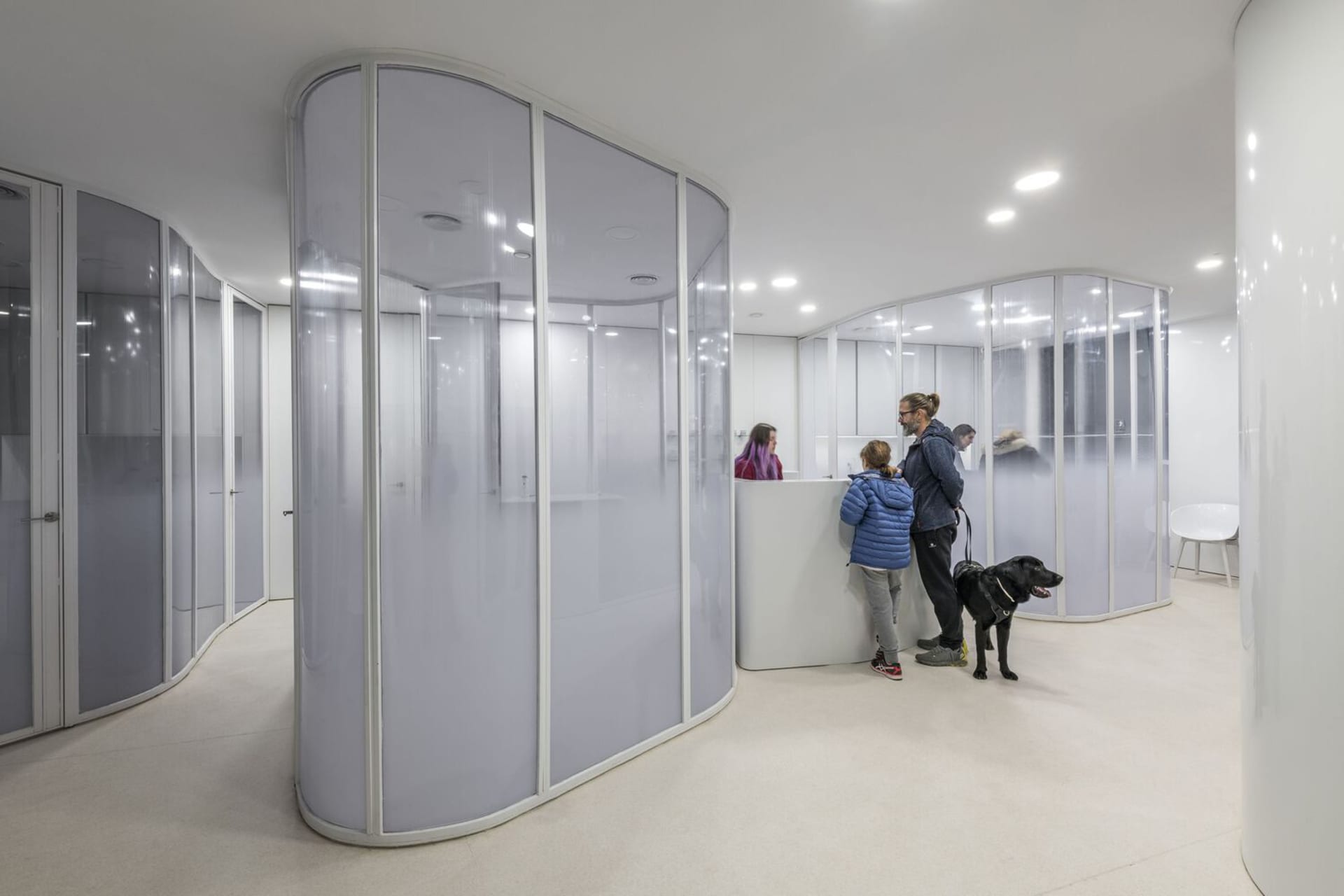 Modern office interior with curved glass walls and white floors and ceiling.