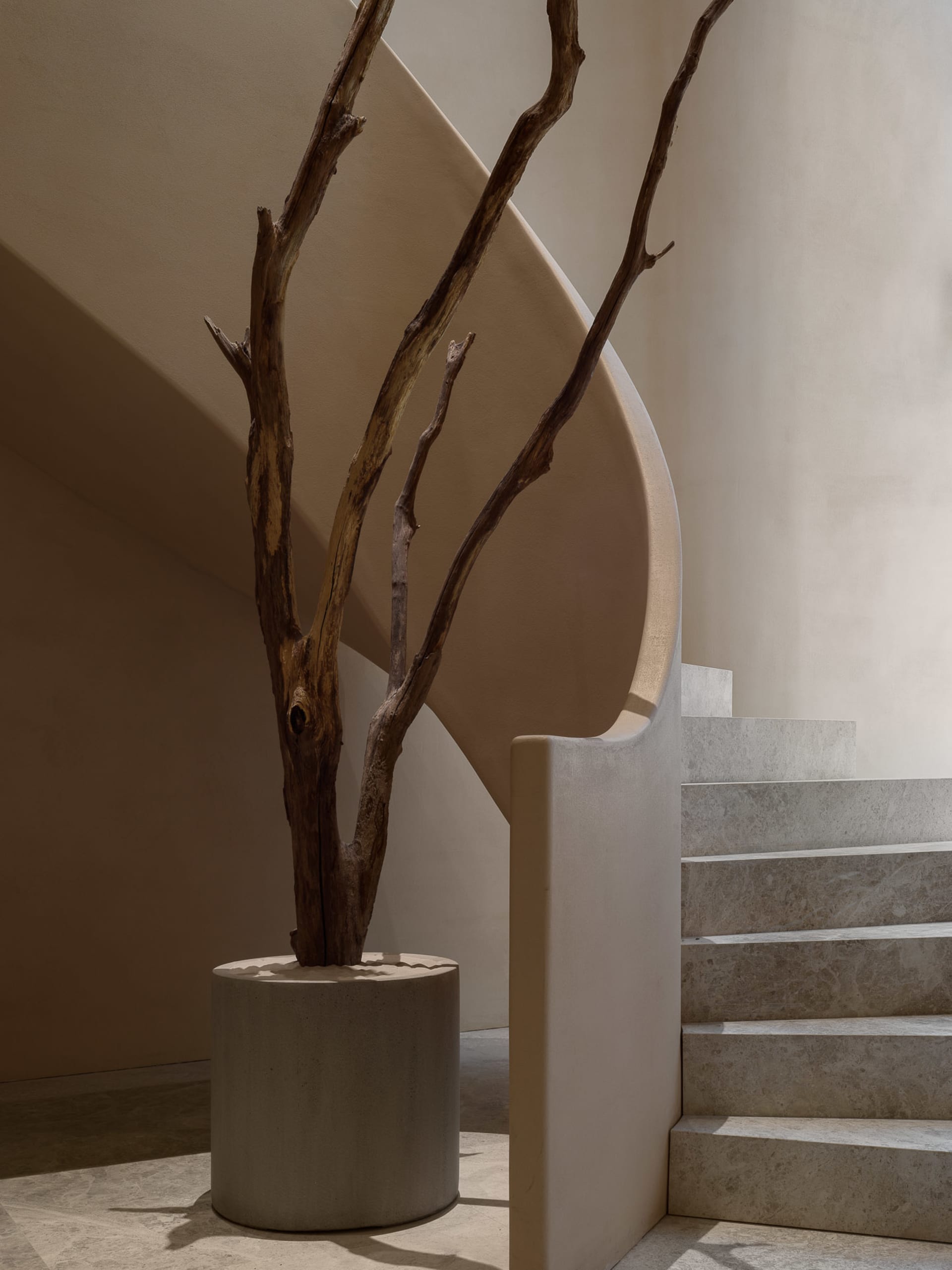 A modern interior with a concrete staircase and tree